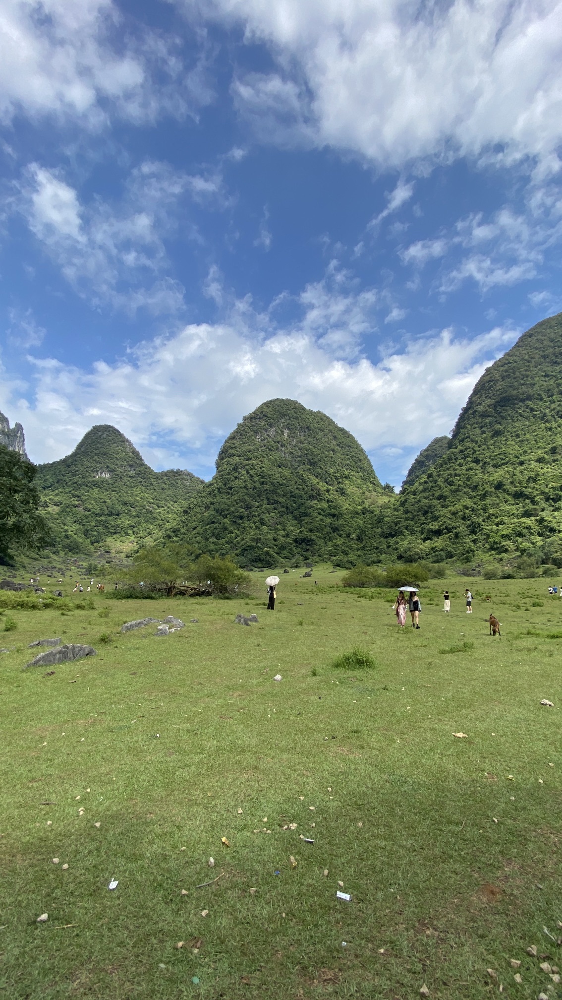 响水石林旅行图片 2