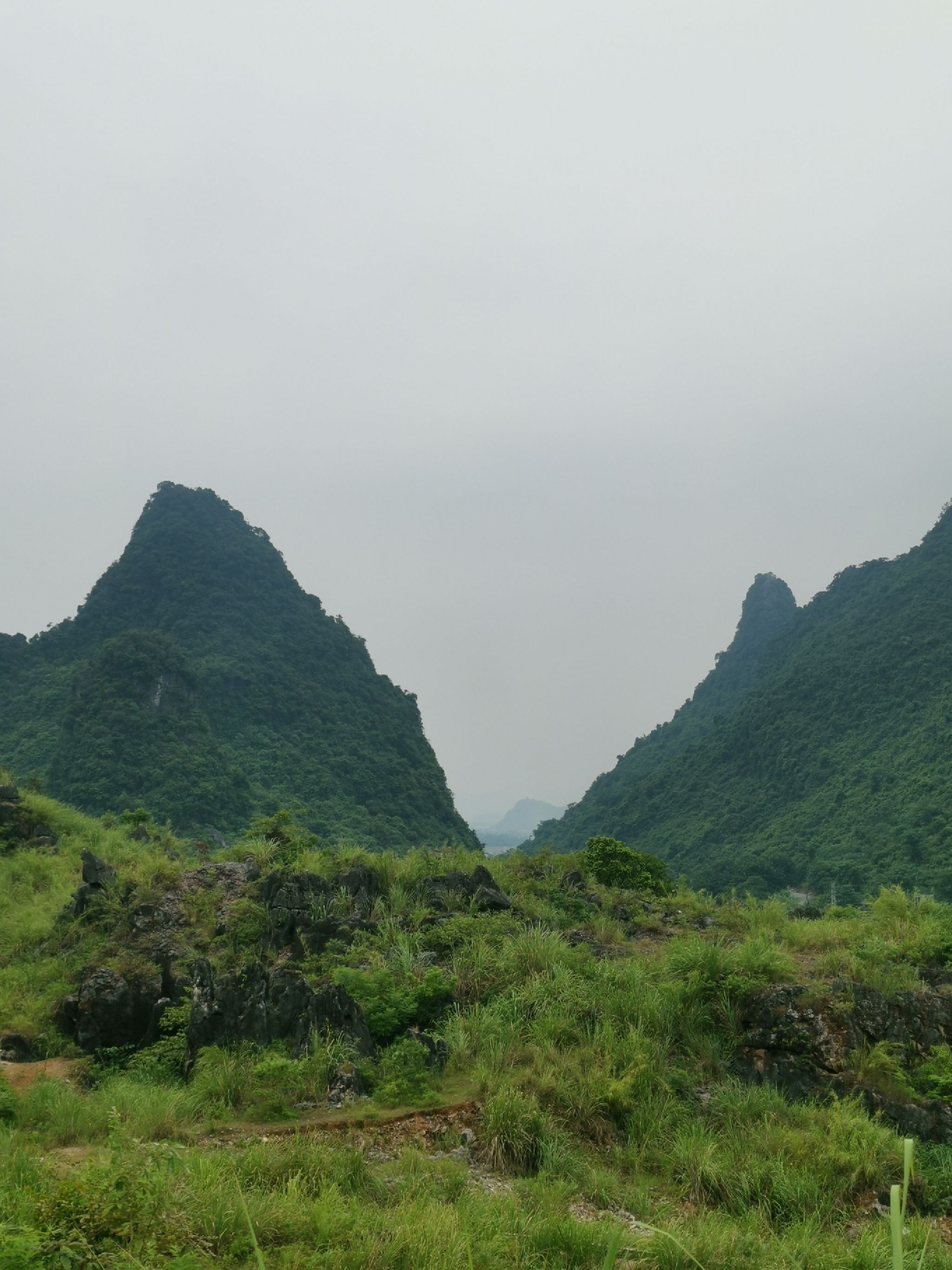 响水石林旅行图片 2