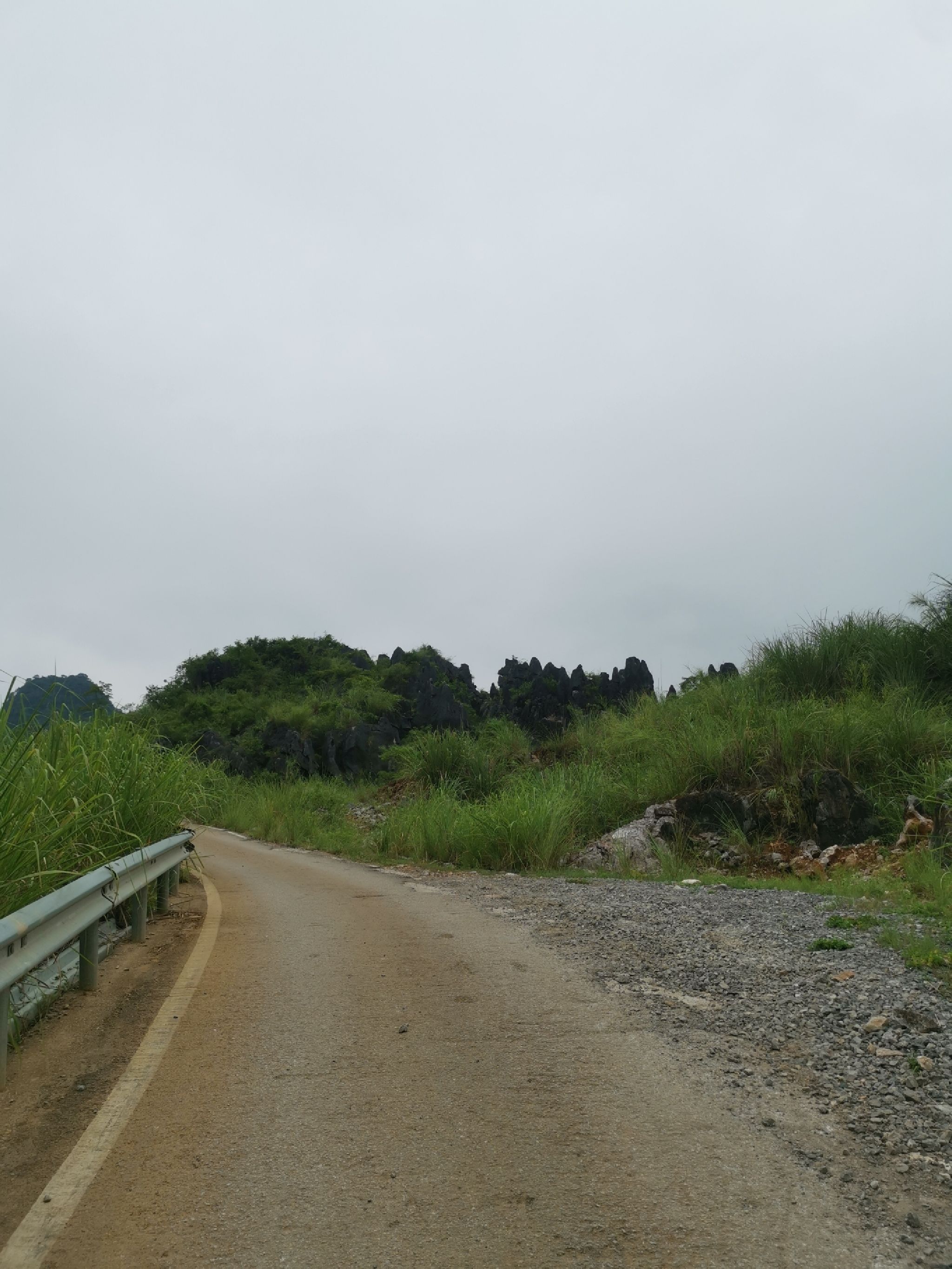 响水石林旅行图片 1