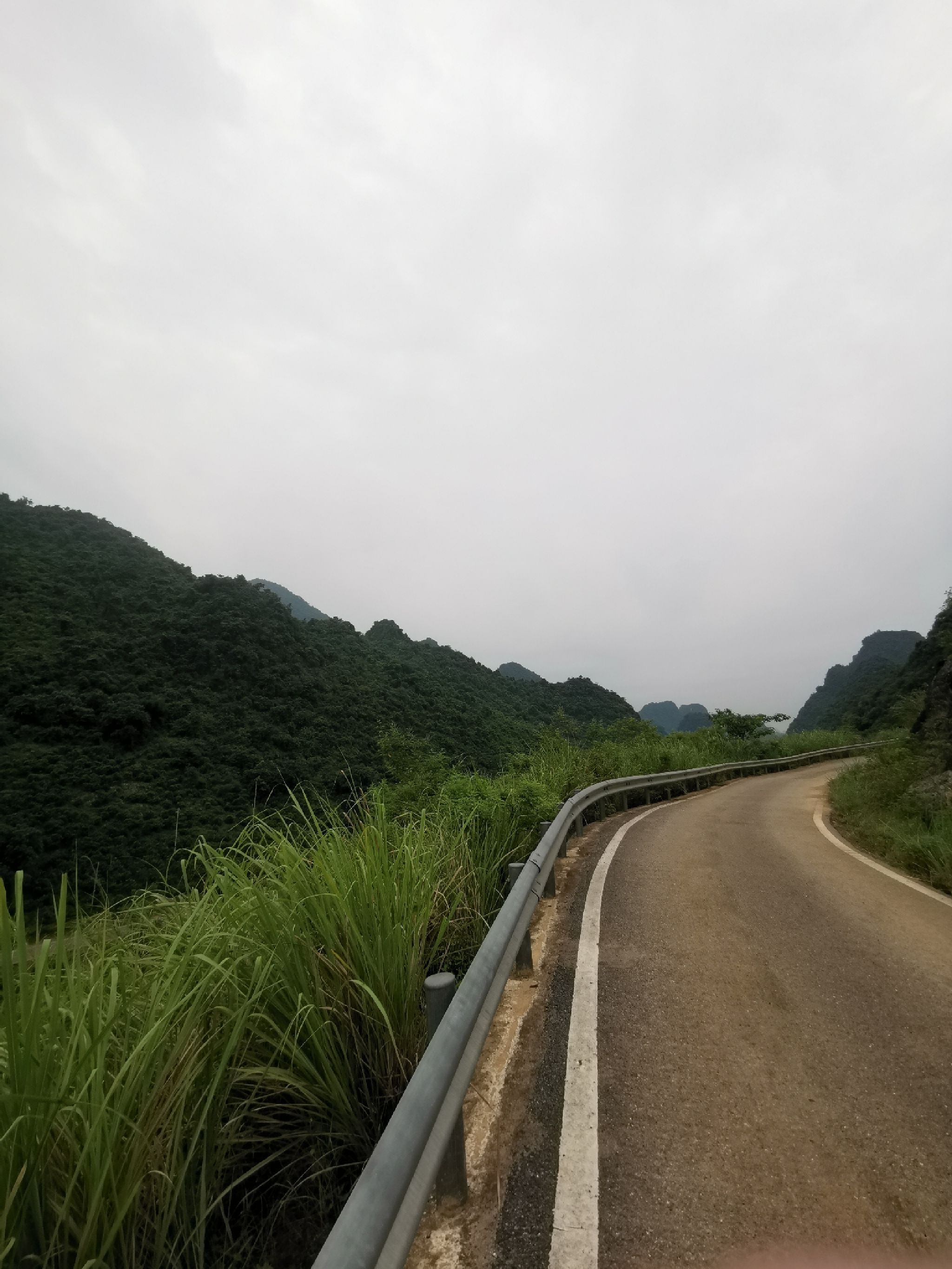响水石林旅行图片 3