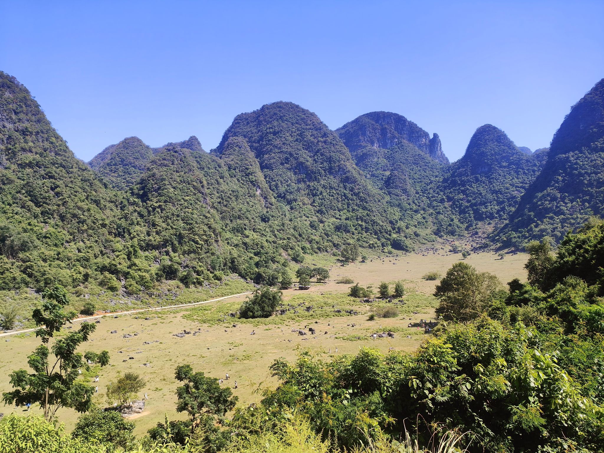 响水石林旅行图片 3