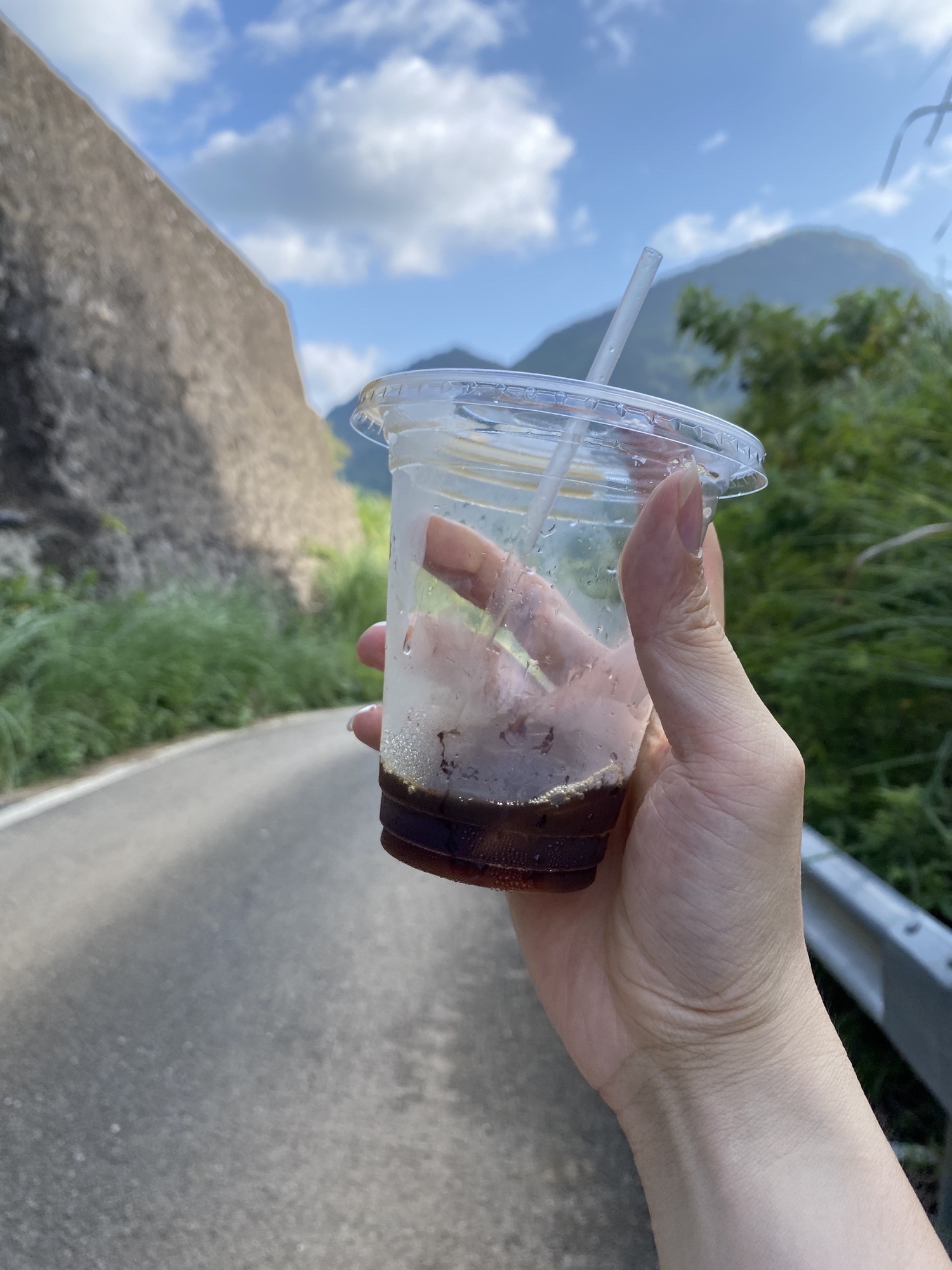 响水石林旅行图片 3
