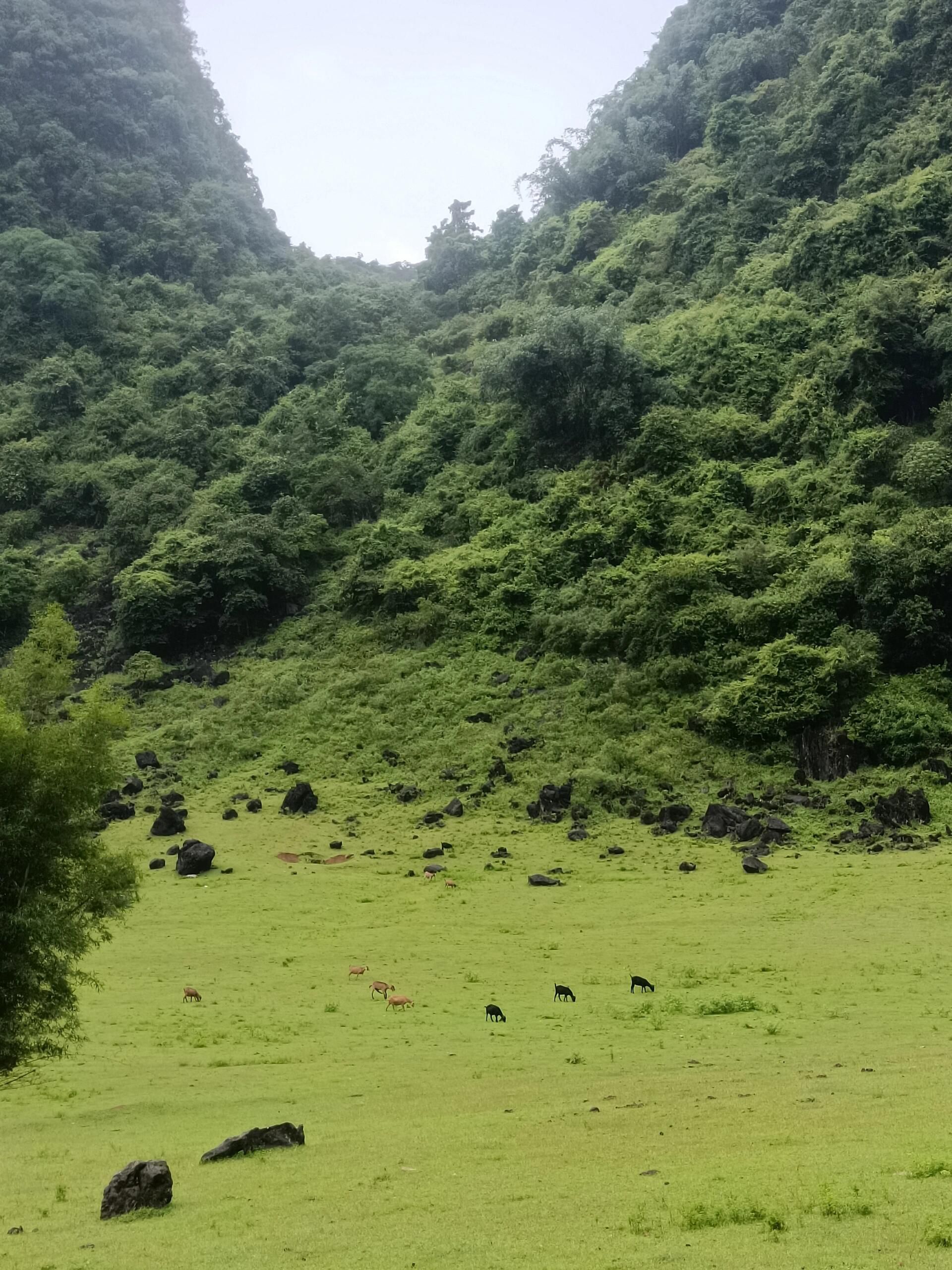 响水石林旅行图片 1