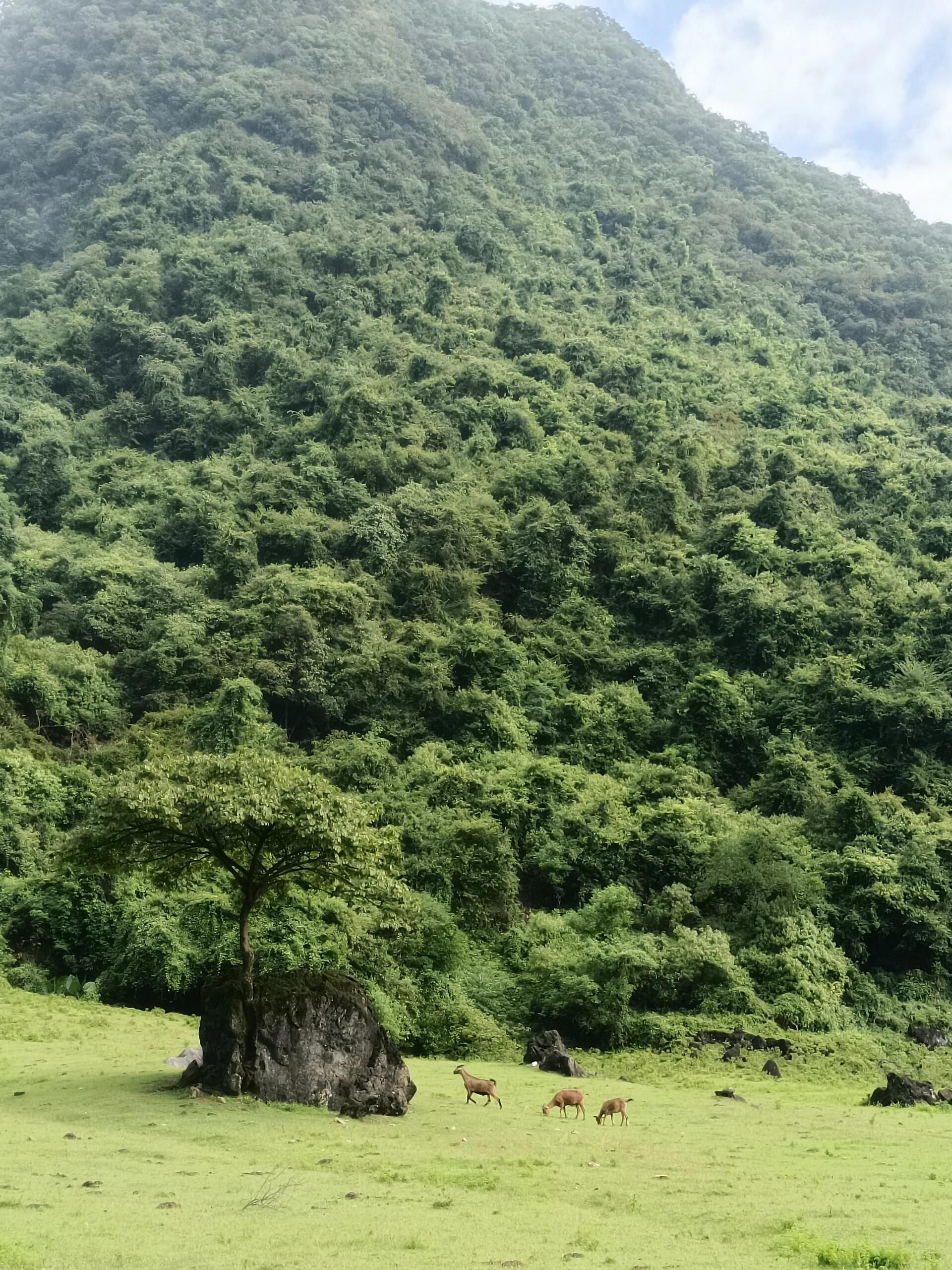 响水石林旅行图片 3