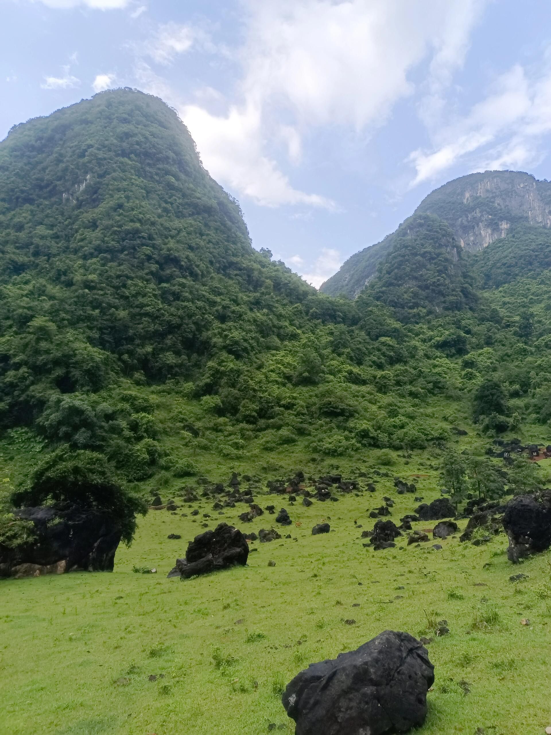 响水石林旅行图片 2