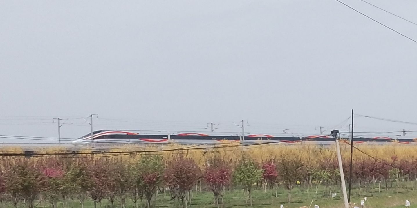西平嫘祖海棠园旅行图片 2