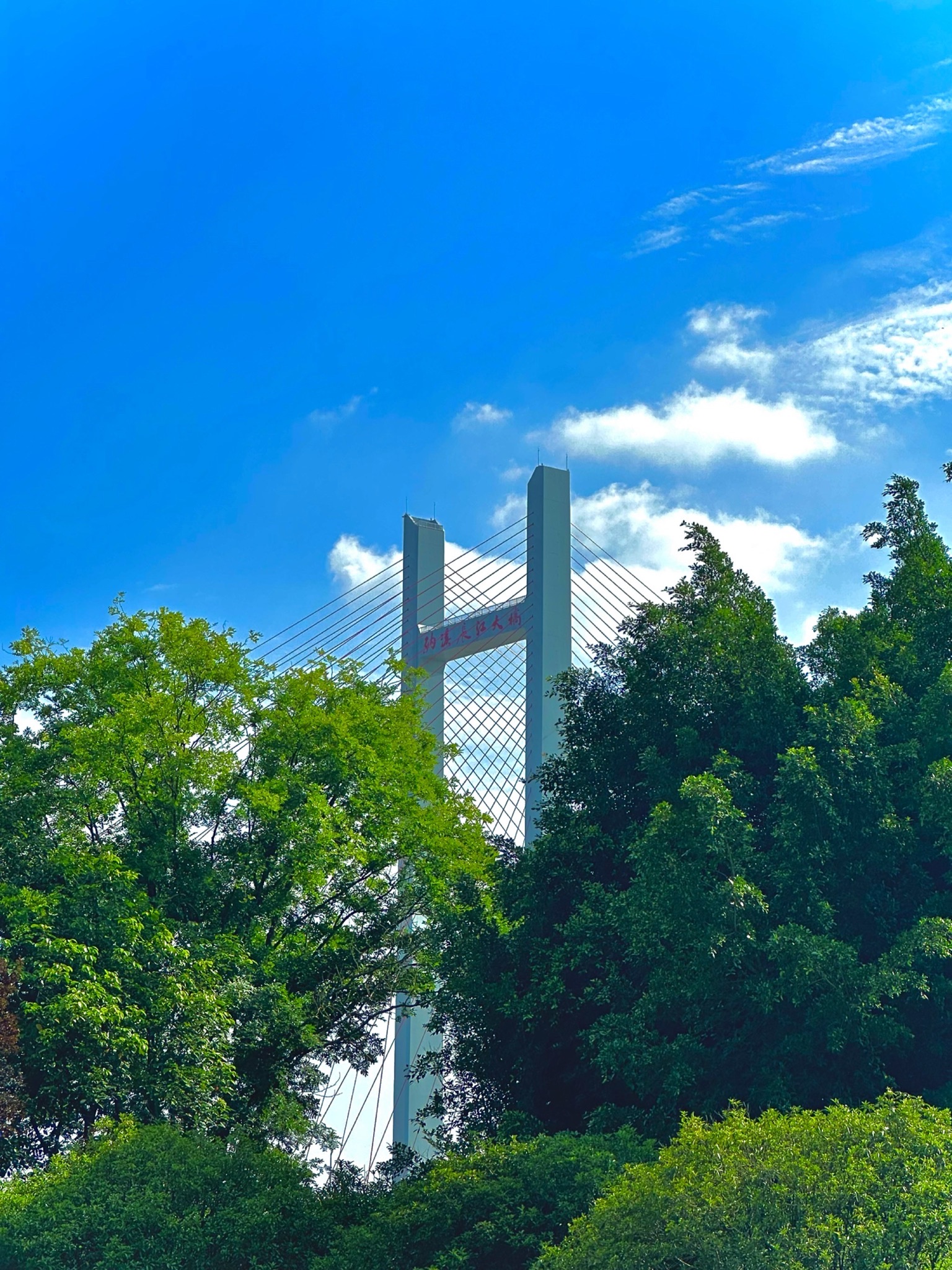 麒麟广场旅行图片 3