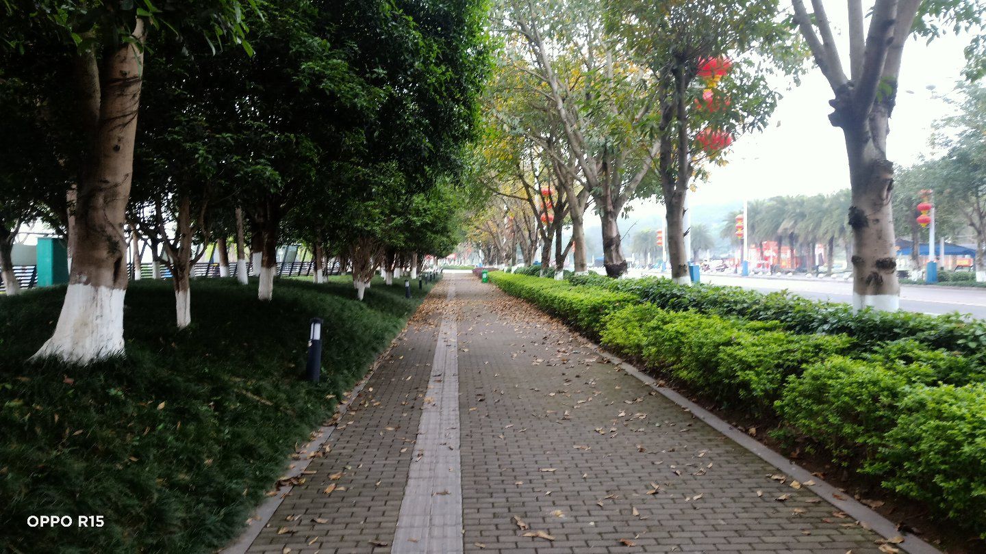 麒麟广场旅行图片 2