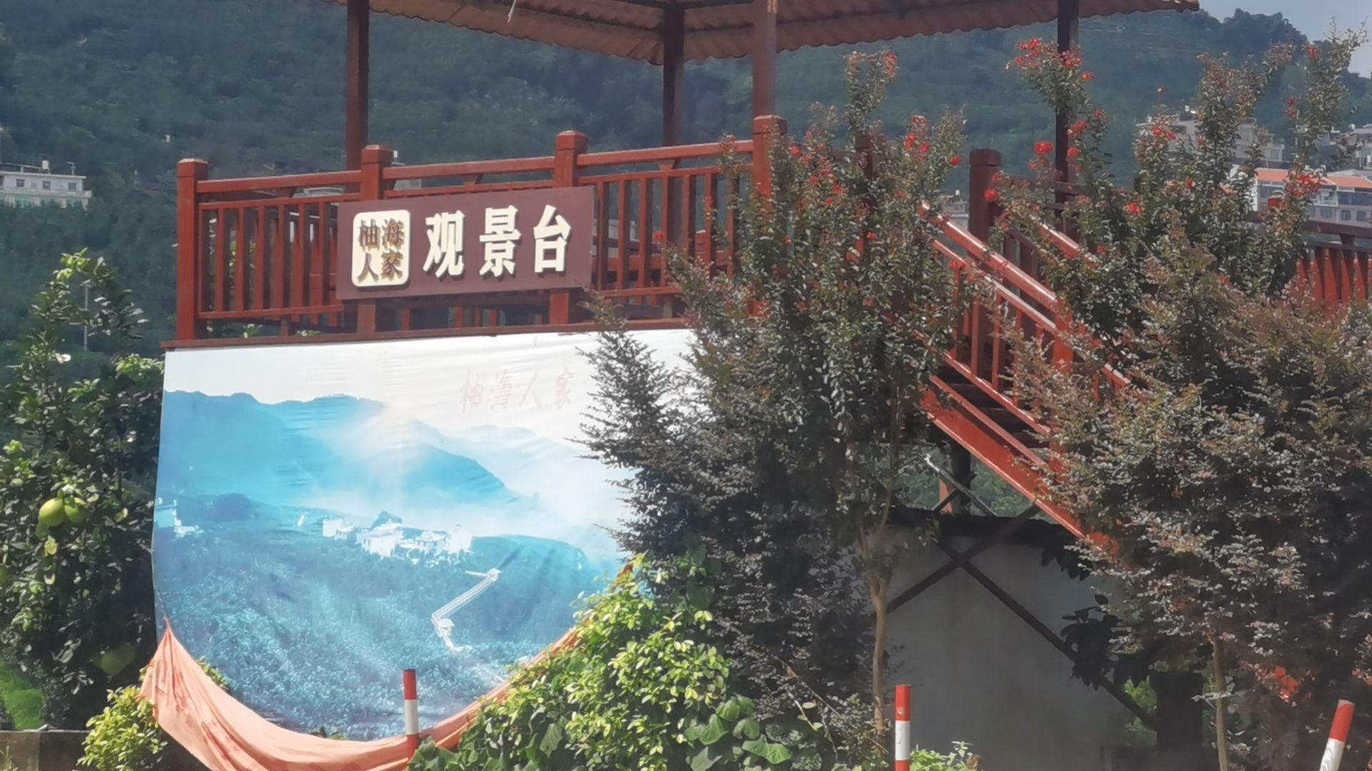 平和万亩柚海休闲木栈道旅行图片 1
