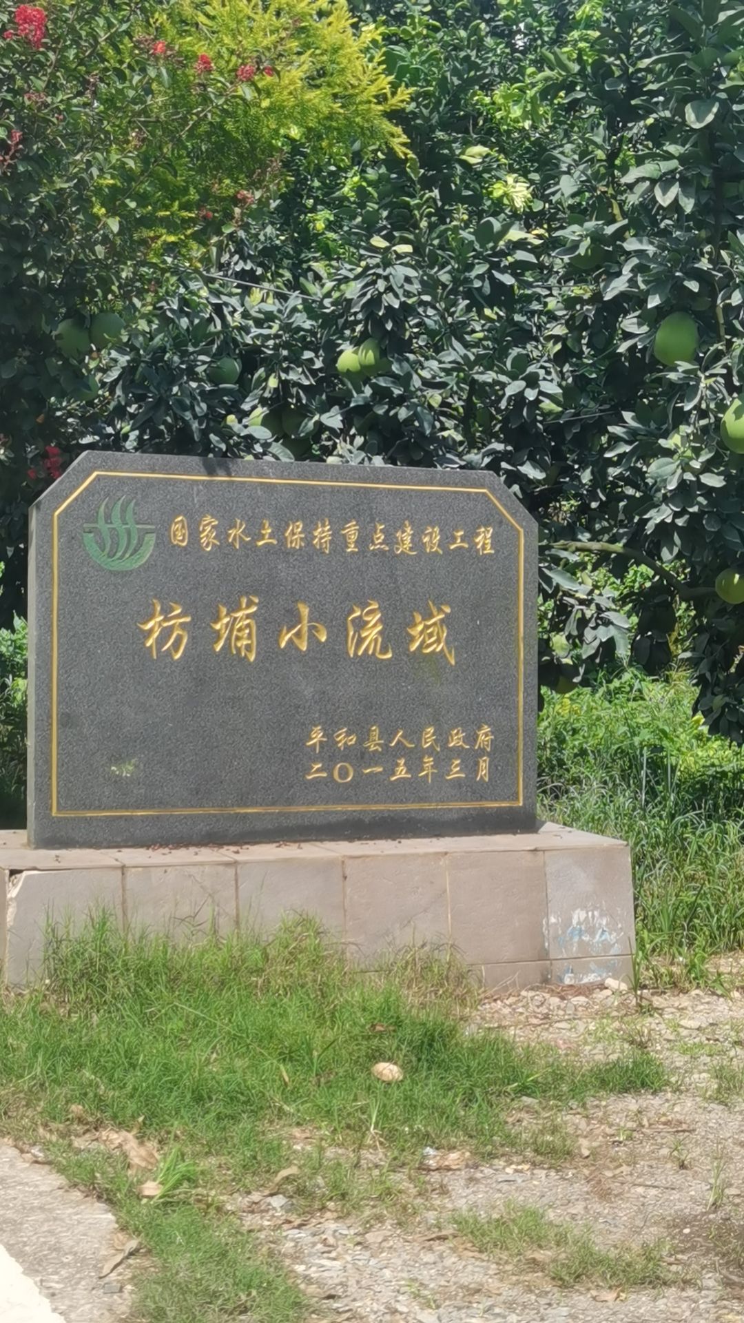 平和万亩柚海休闲木栈道旅行图片 2