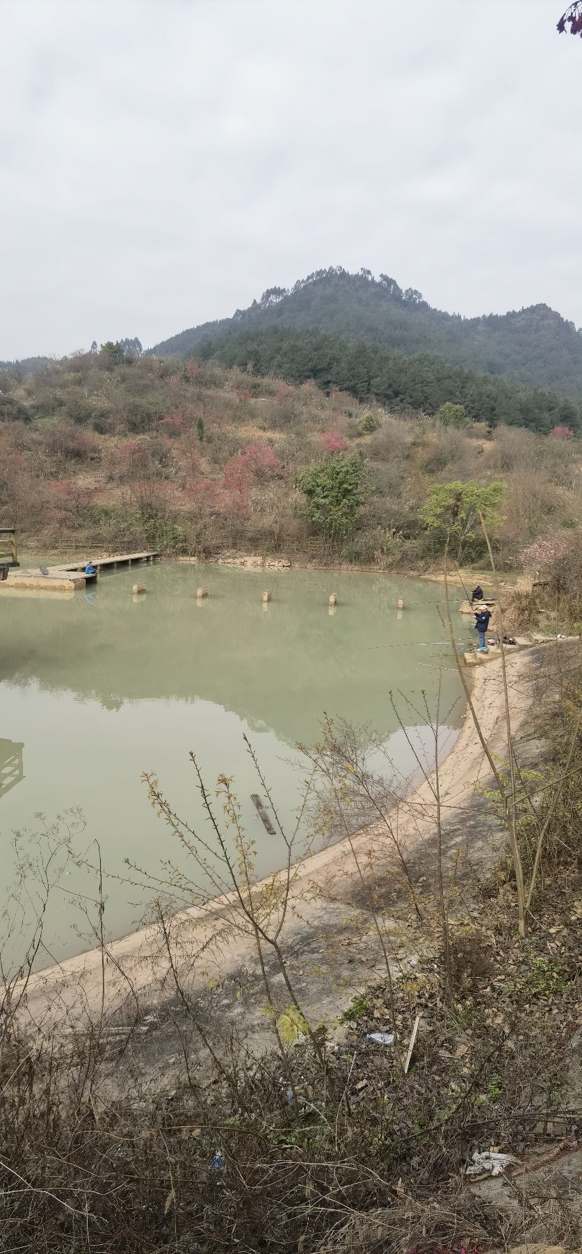 垫江樱花谷旅行图片 3