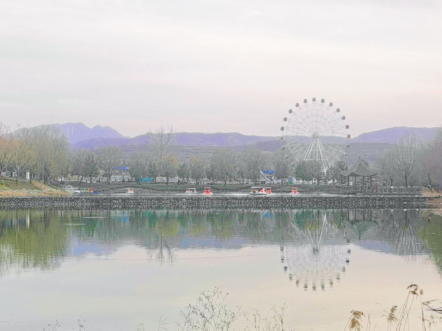 七彩童话动物王国旅行图片 3
