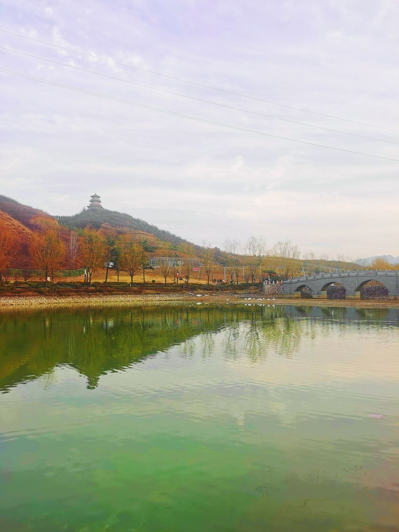 七彩童话动物王国旅行图片 1
