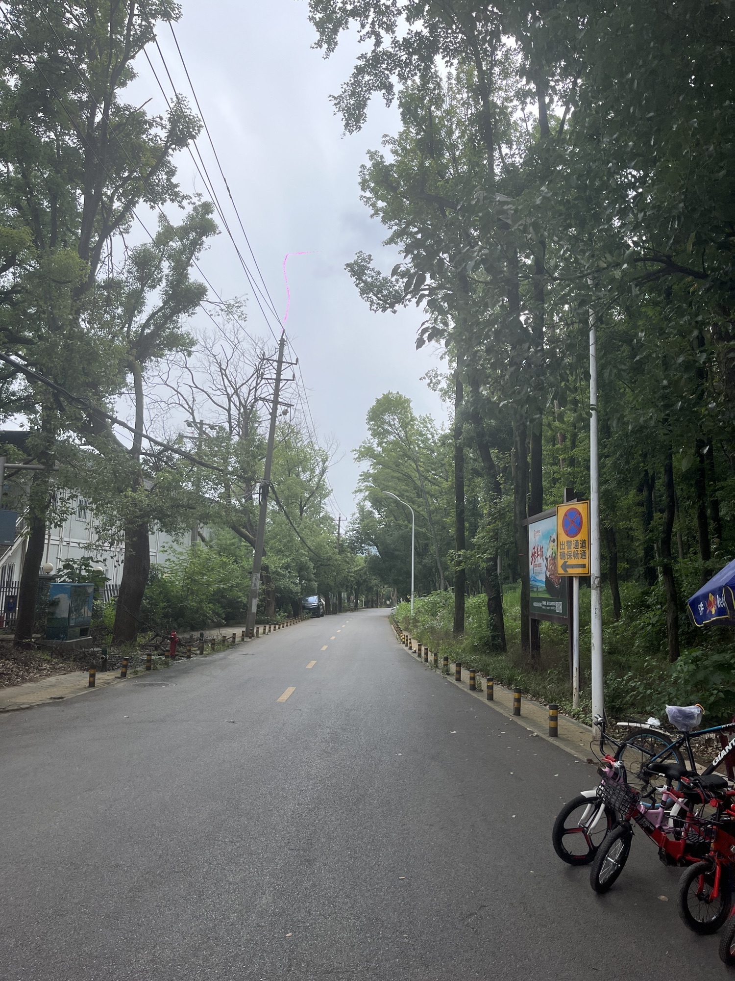 枫多山旅行图片 3