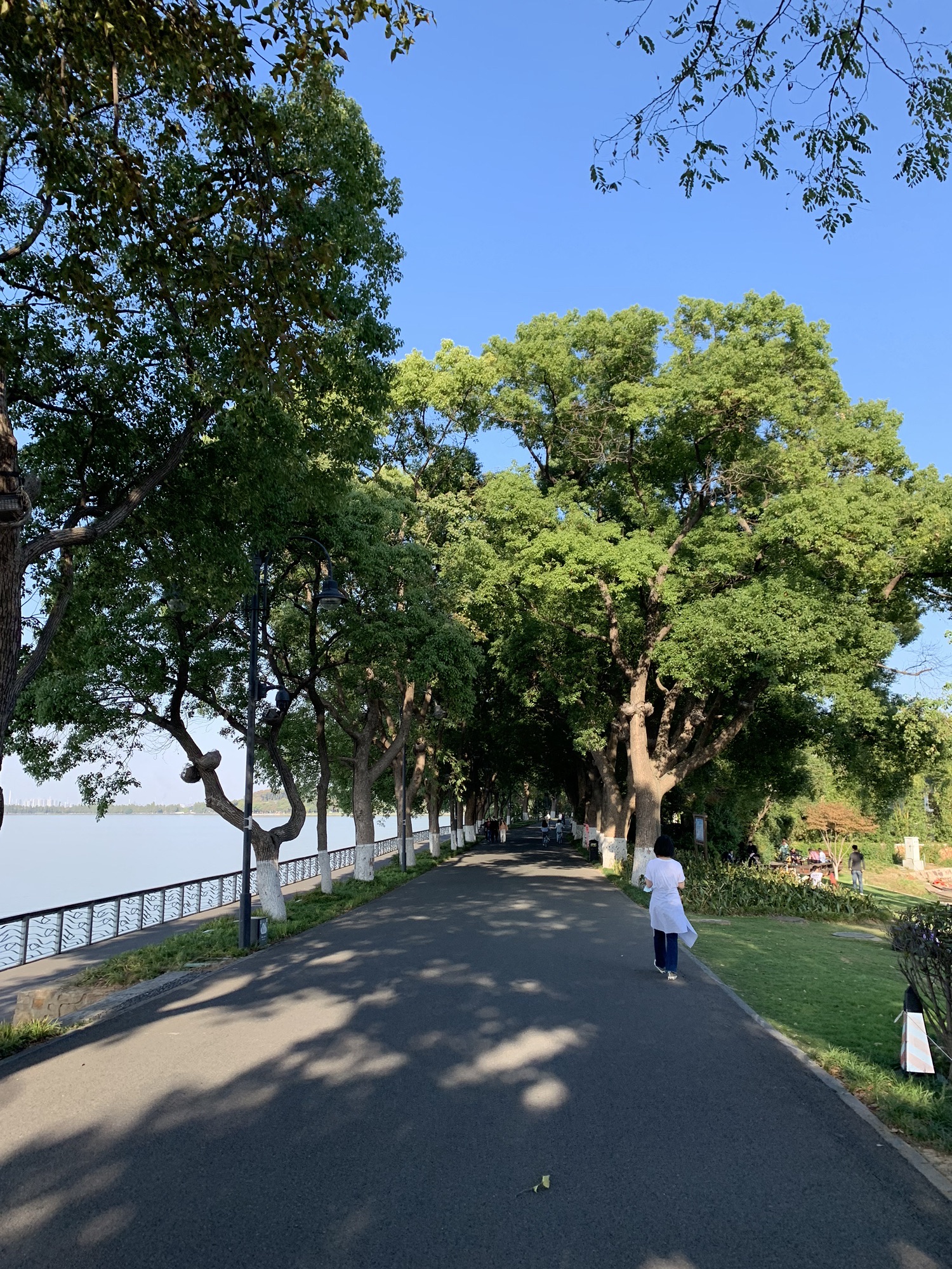 枫多山旅行图片 2