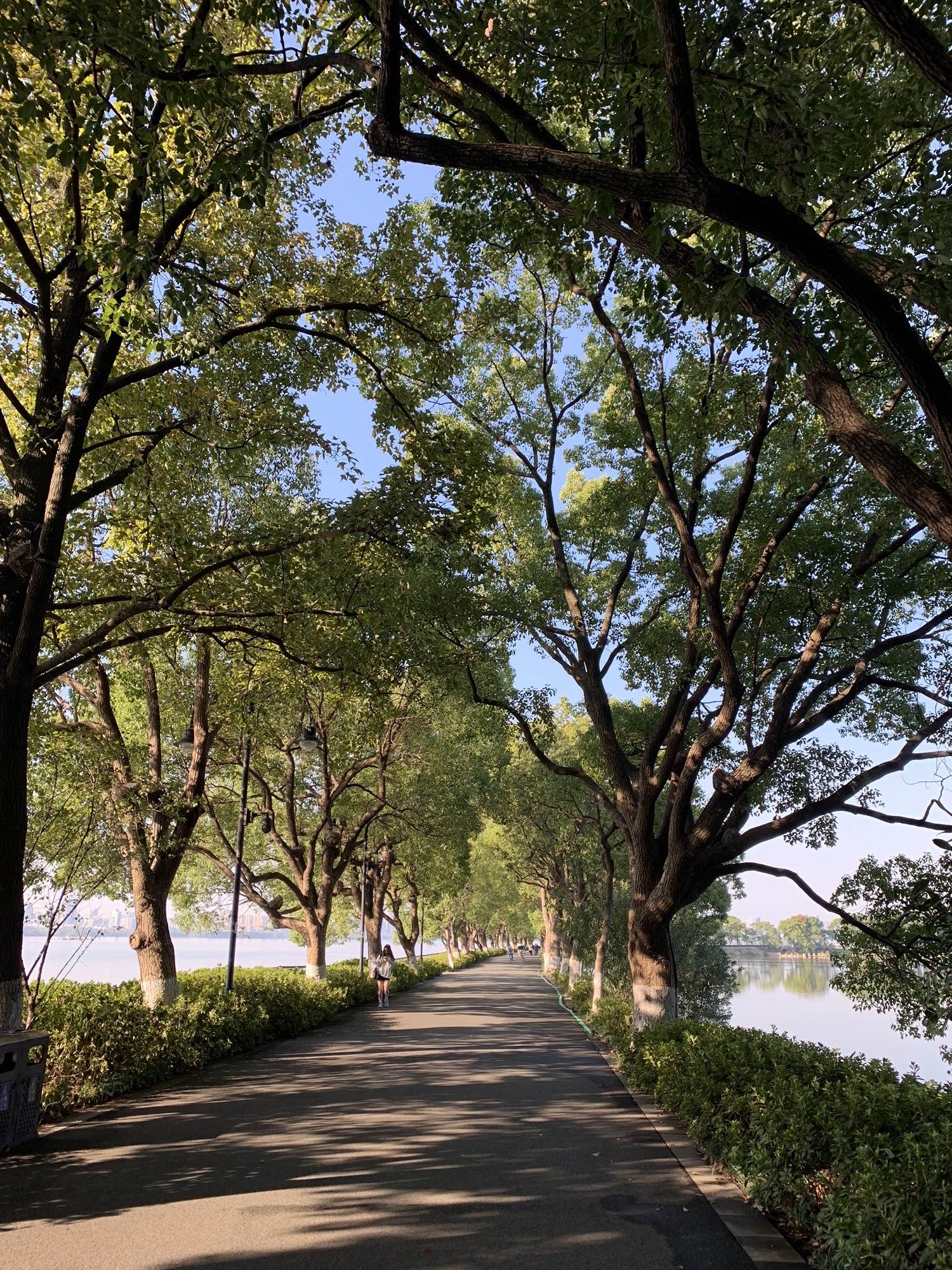 枫多山旅行图片 3