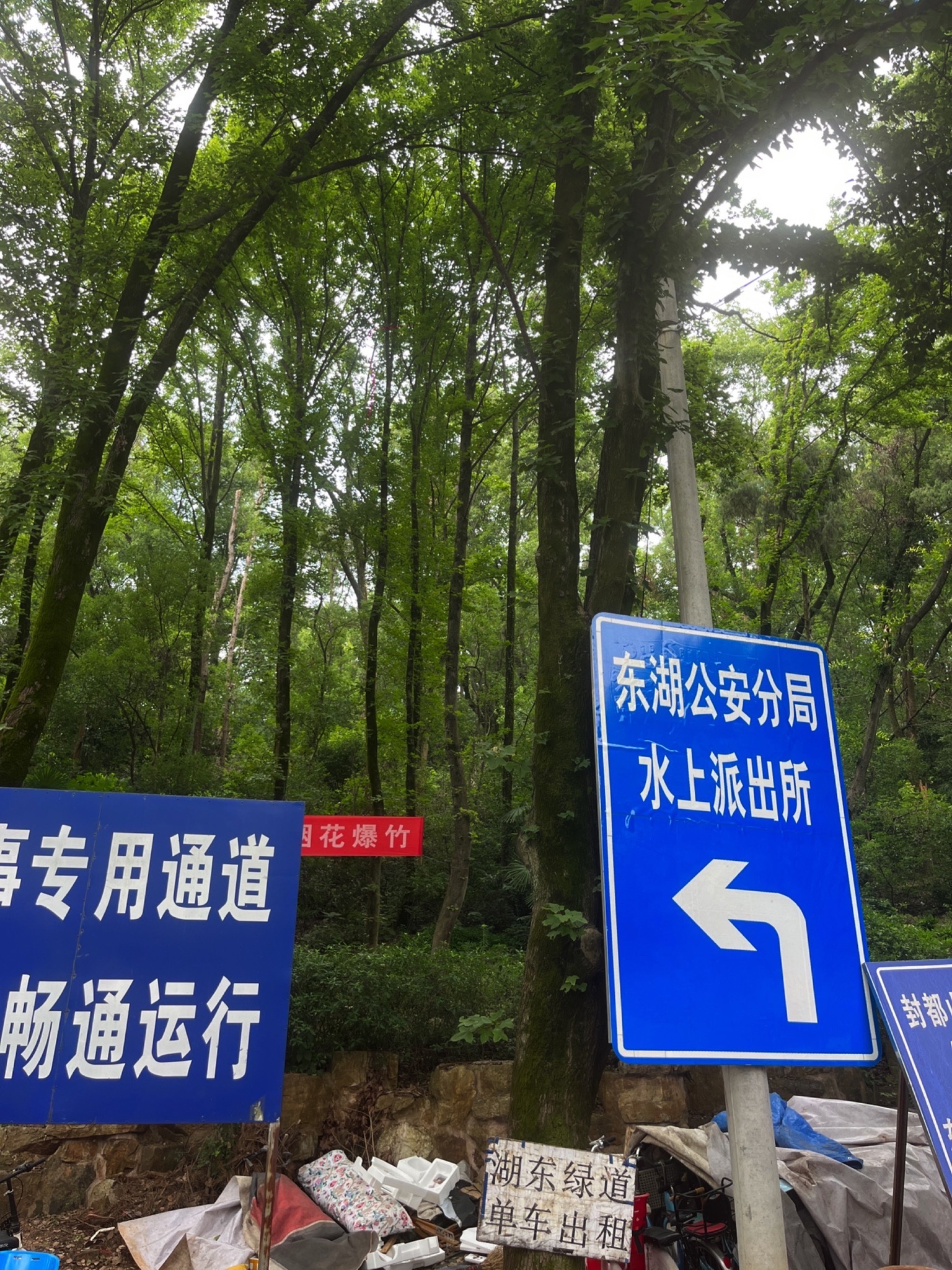 枫多山旅行图片 1