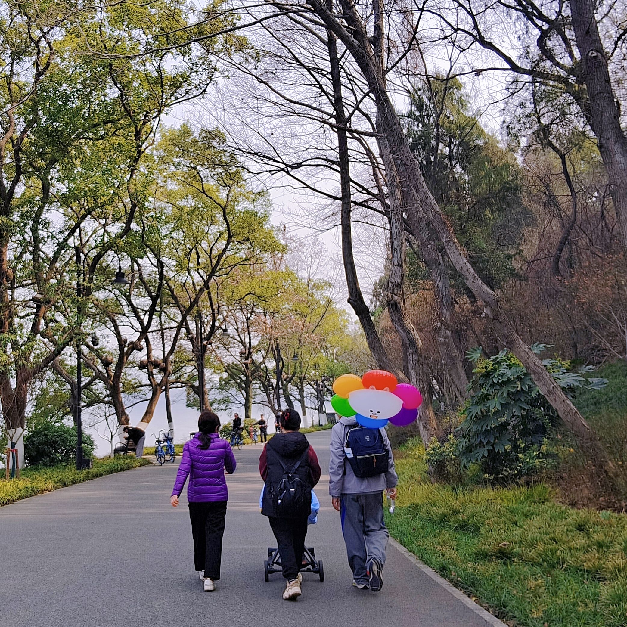 枫多山旅行图片 1
