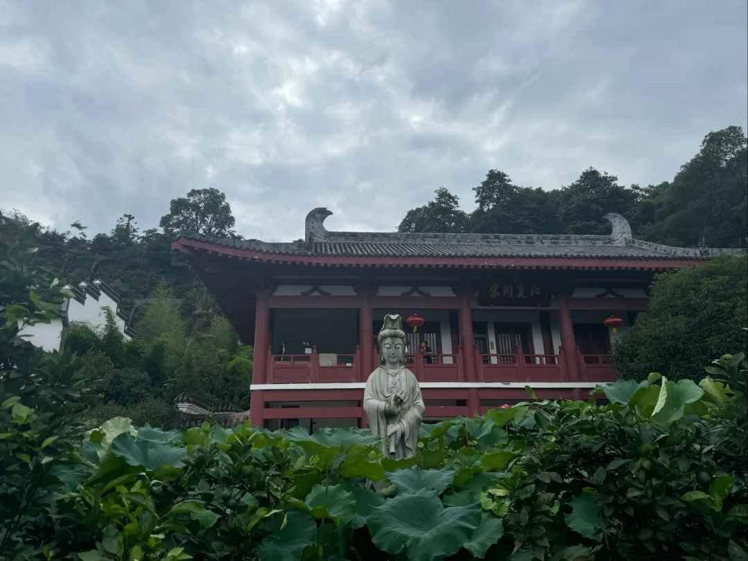 观音古寺旅行图片 2