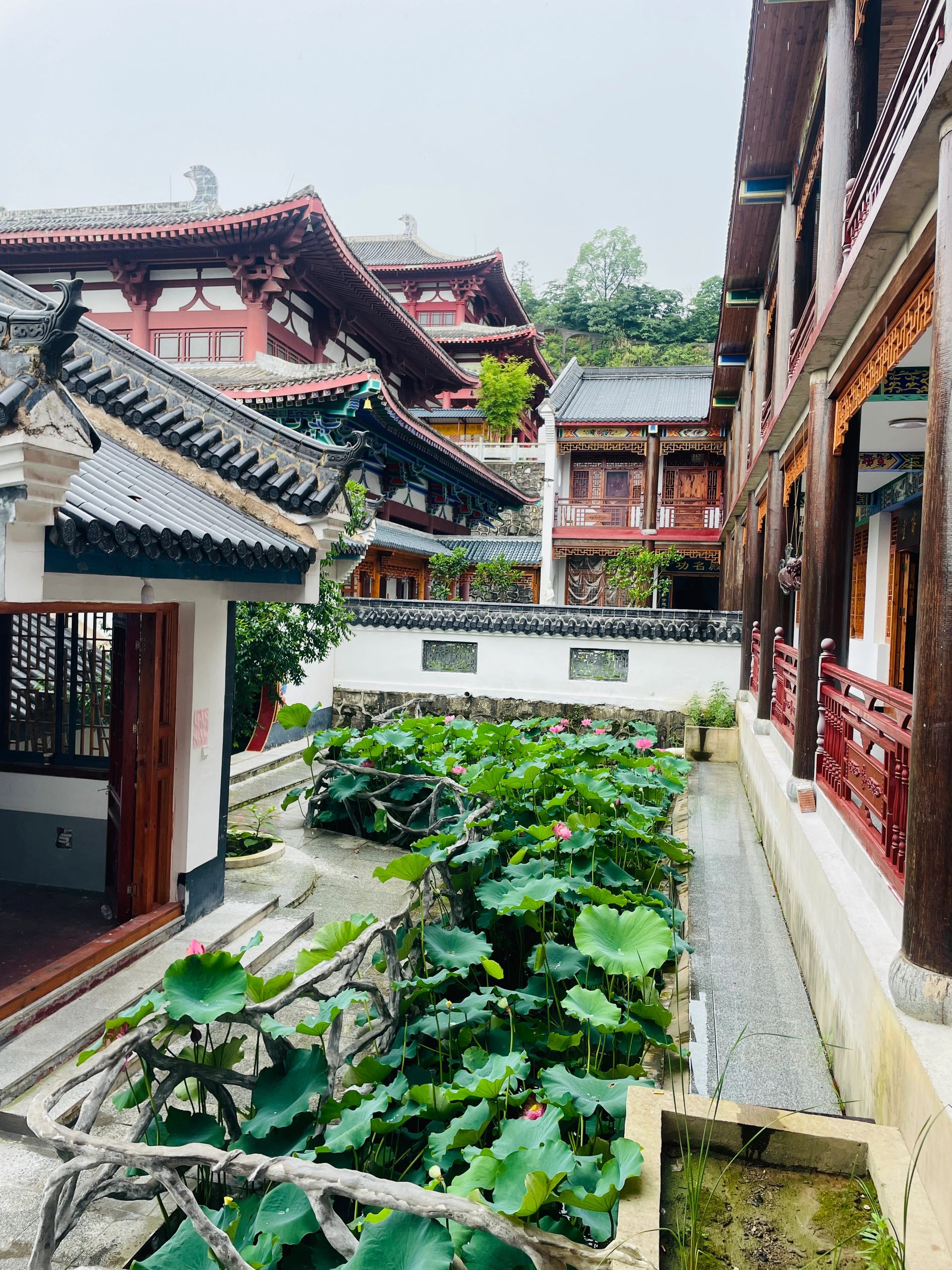 观音古寺旅行图片 1