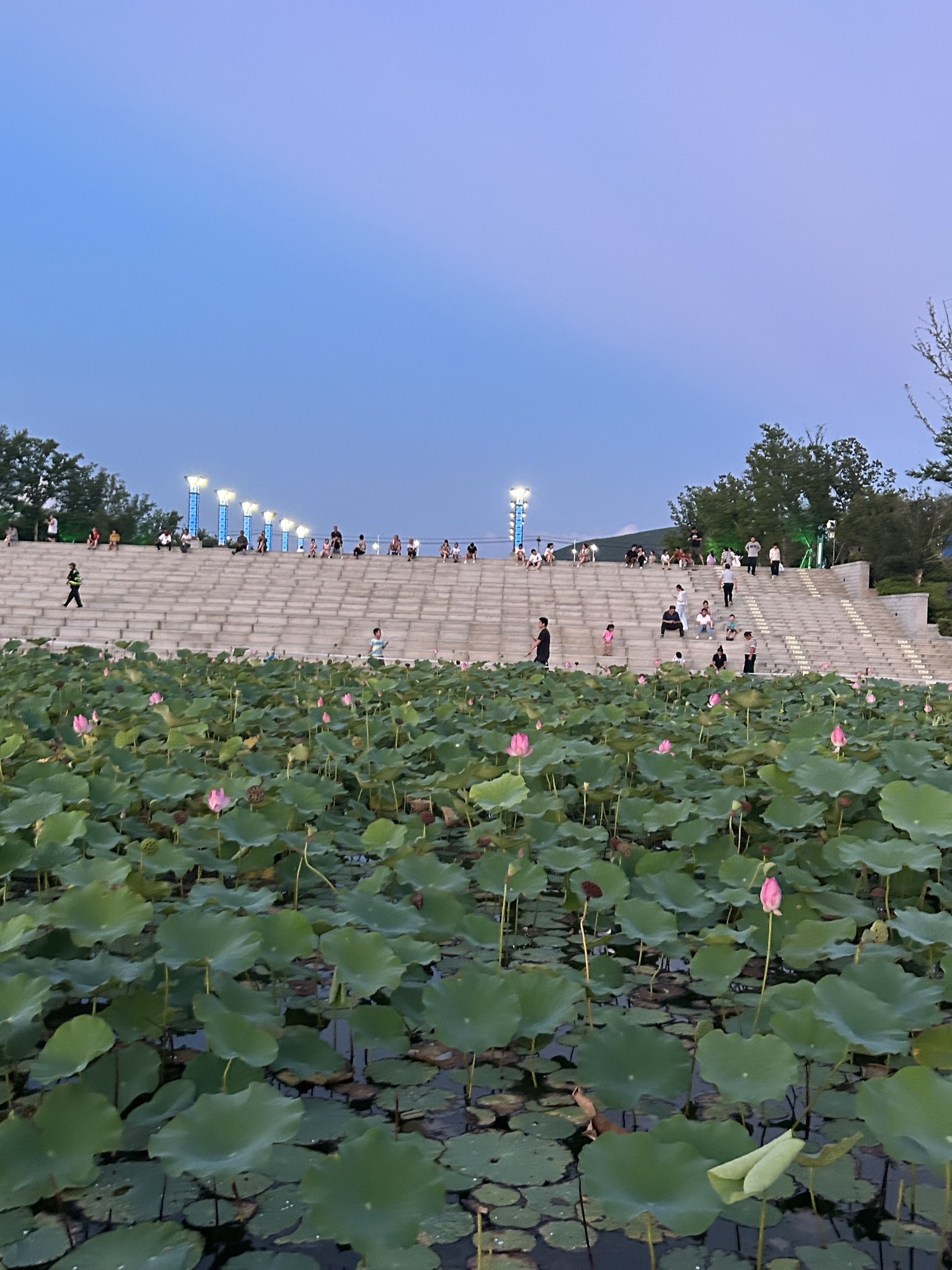 岱湖公园旅行图片 2