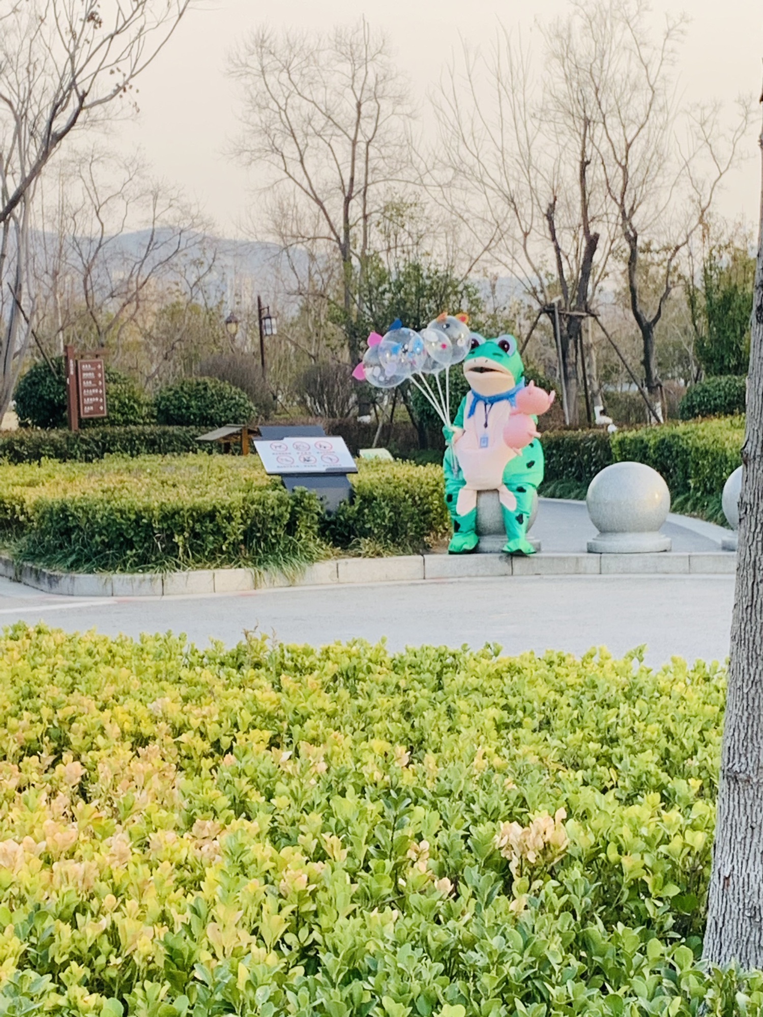岱湖公园旅行图片 3