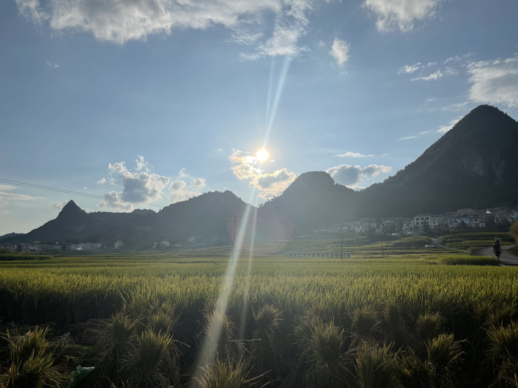 巴平梯田旅行图片 3