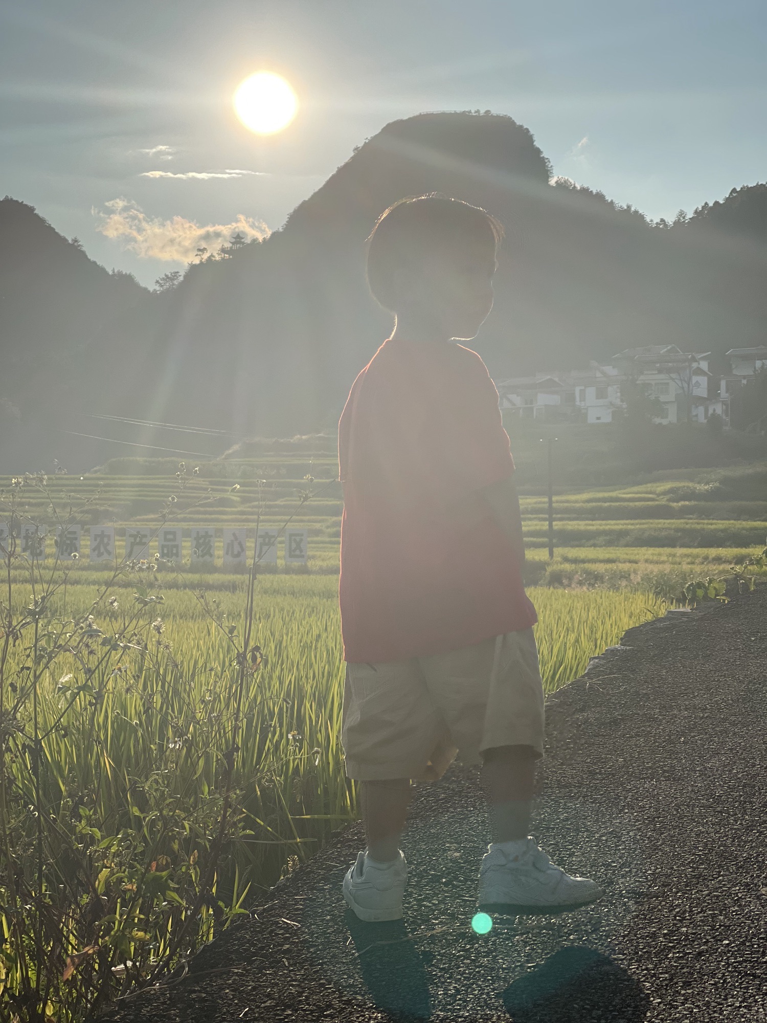 巴平梯田旅行图片 1