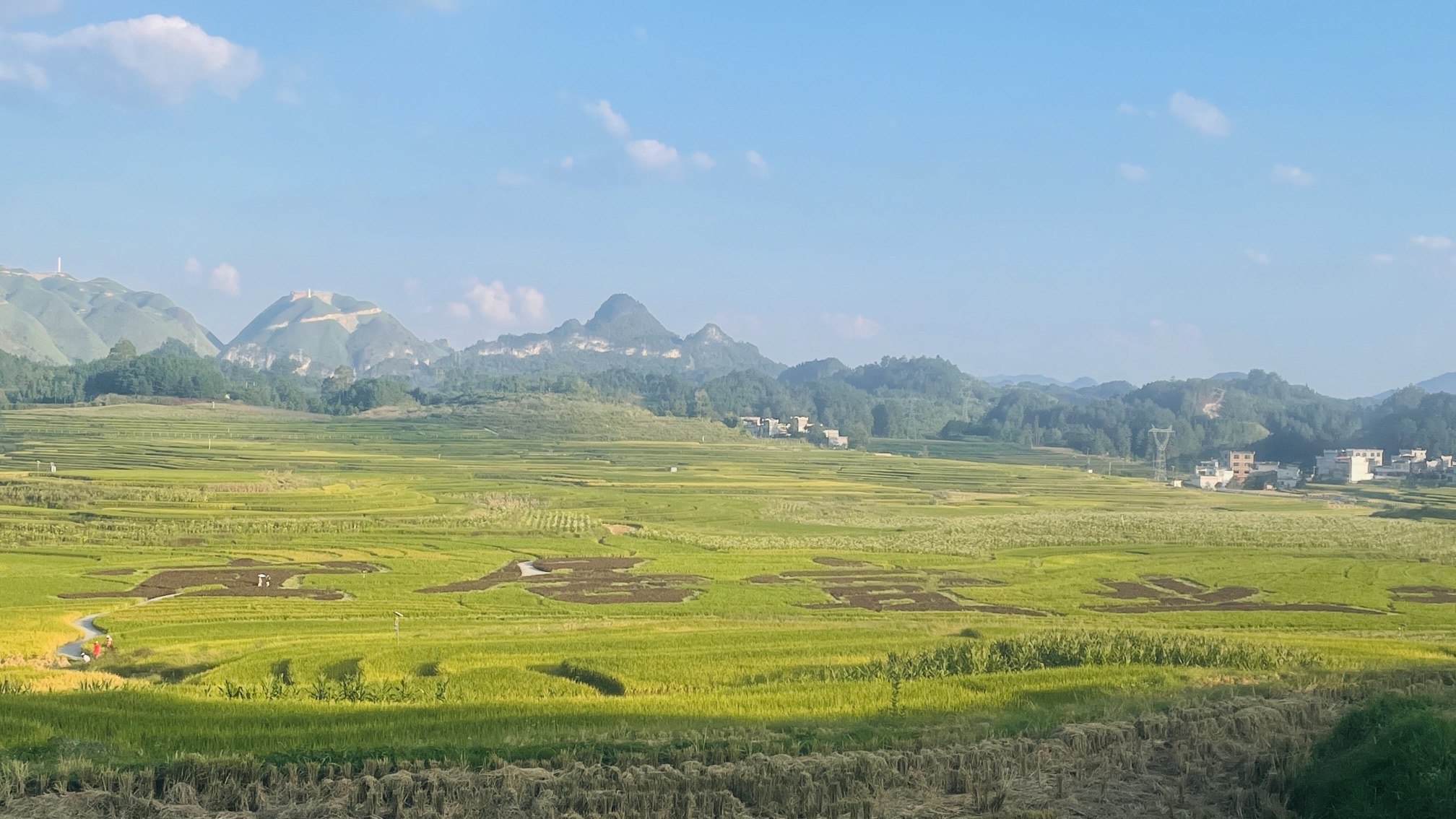 巴平梯田旅行图片 2