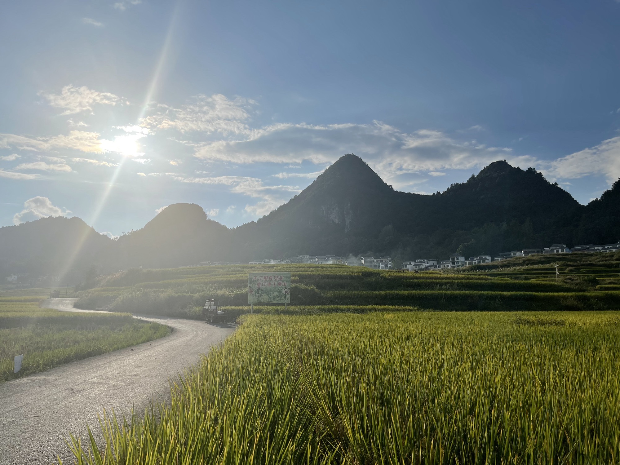 巴平梯田旅行图片 2