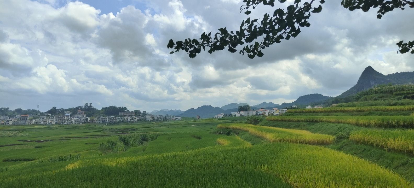 巴平梯田旅行图片 1
