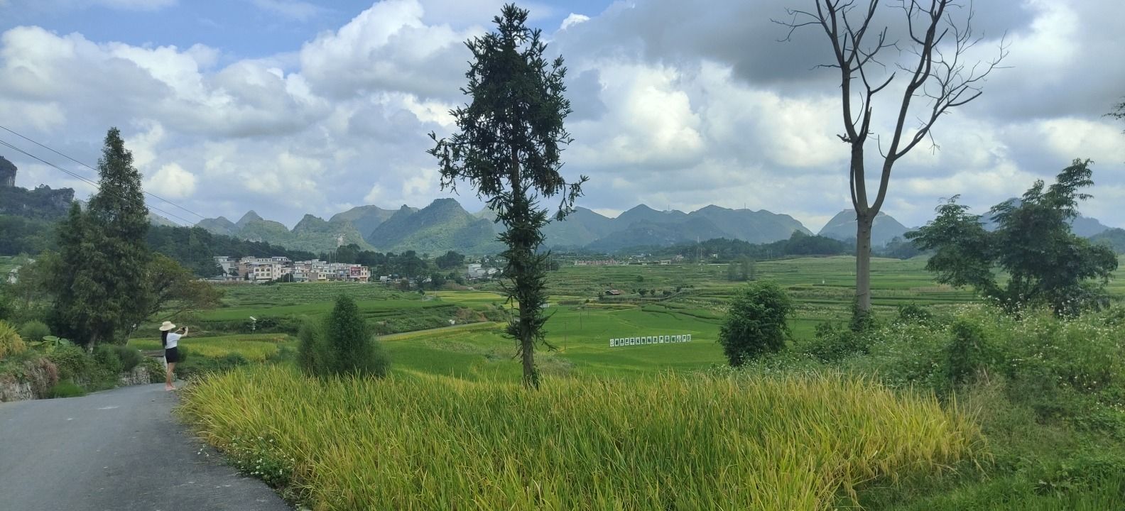 巴平梯田旅行图片 2