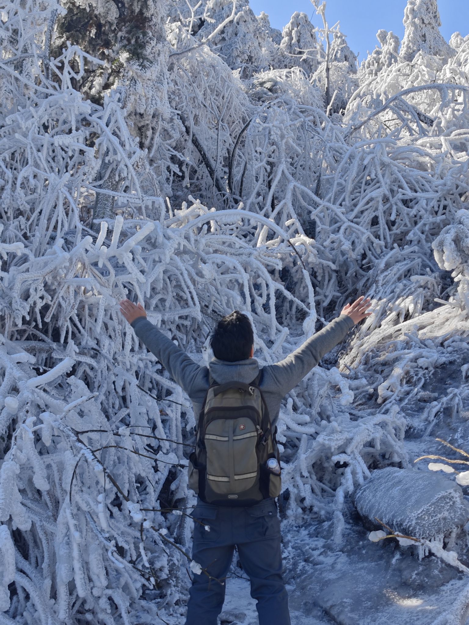 云冰山旅游区旅行图片 3