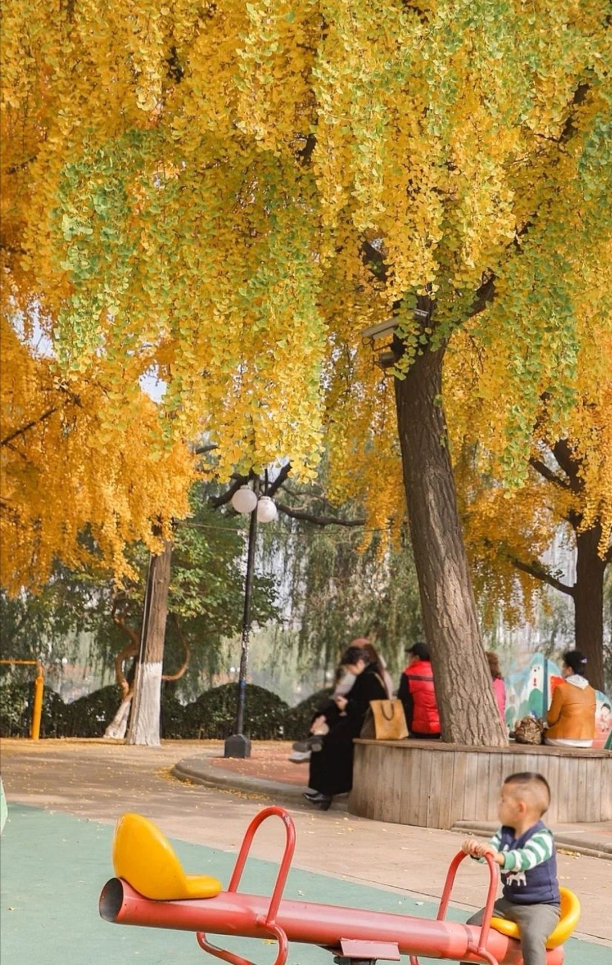 儿童公园旅行图片 3