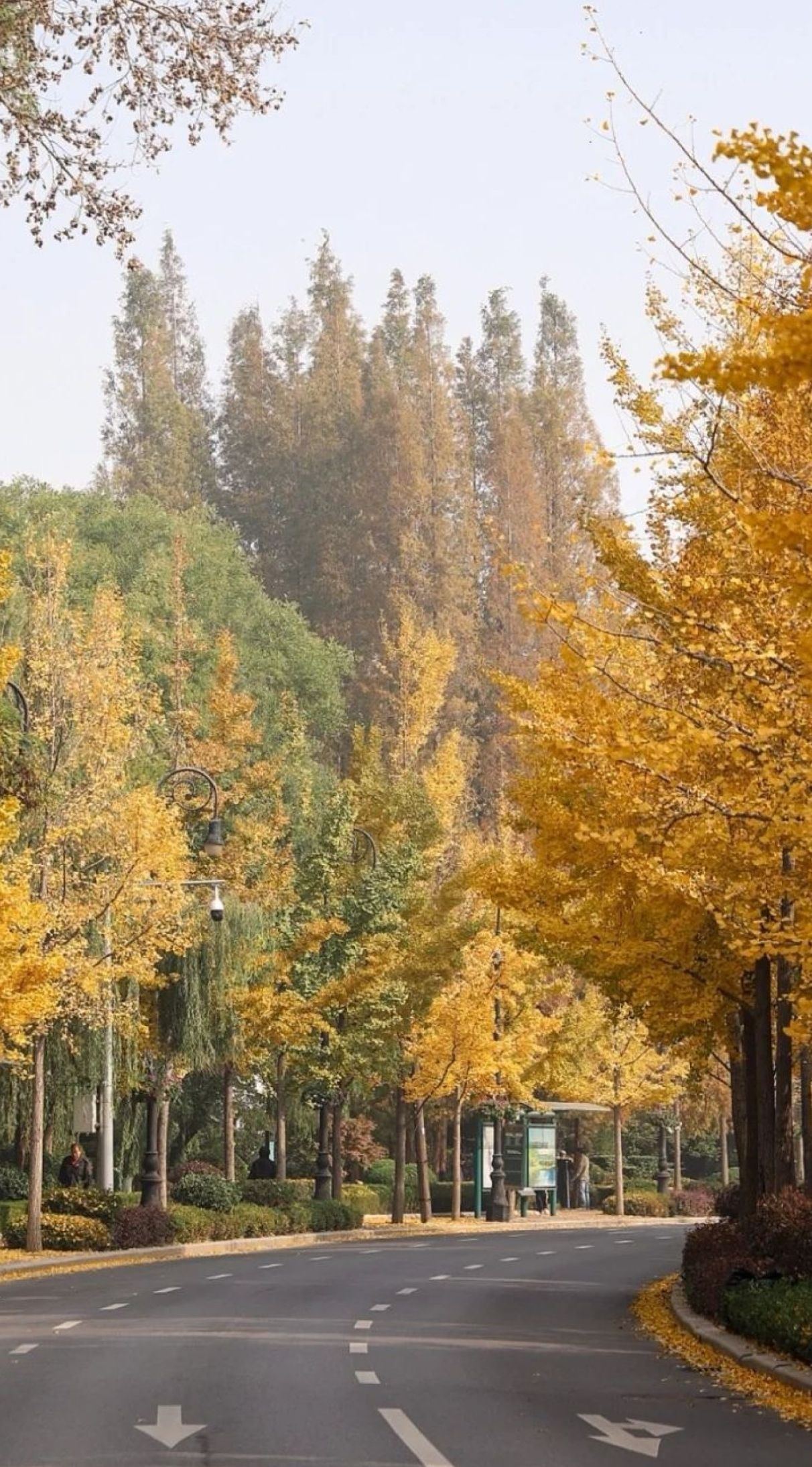 儿童公园旅行图片 2