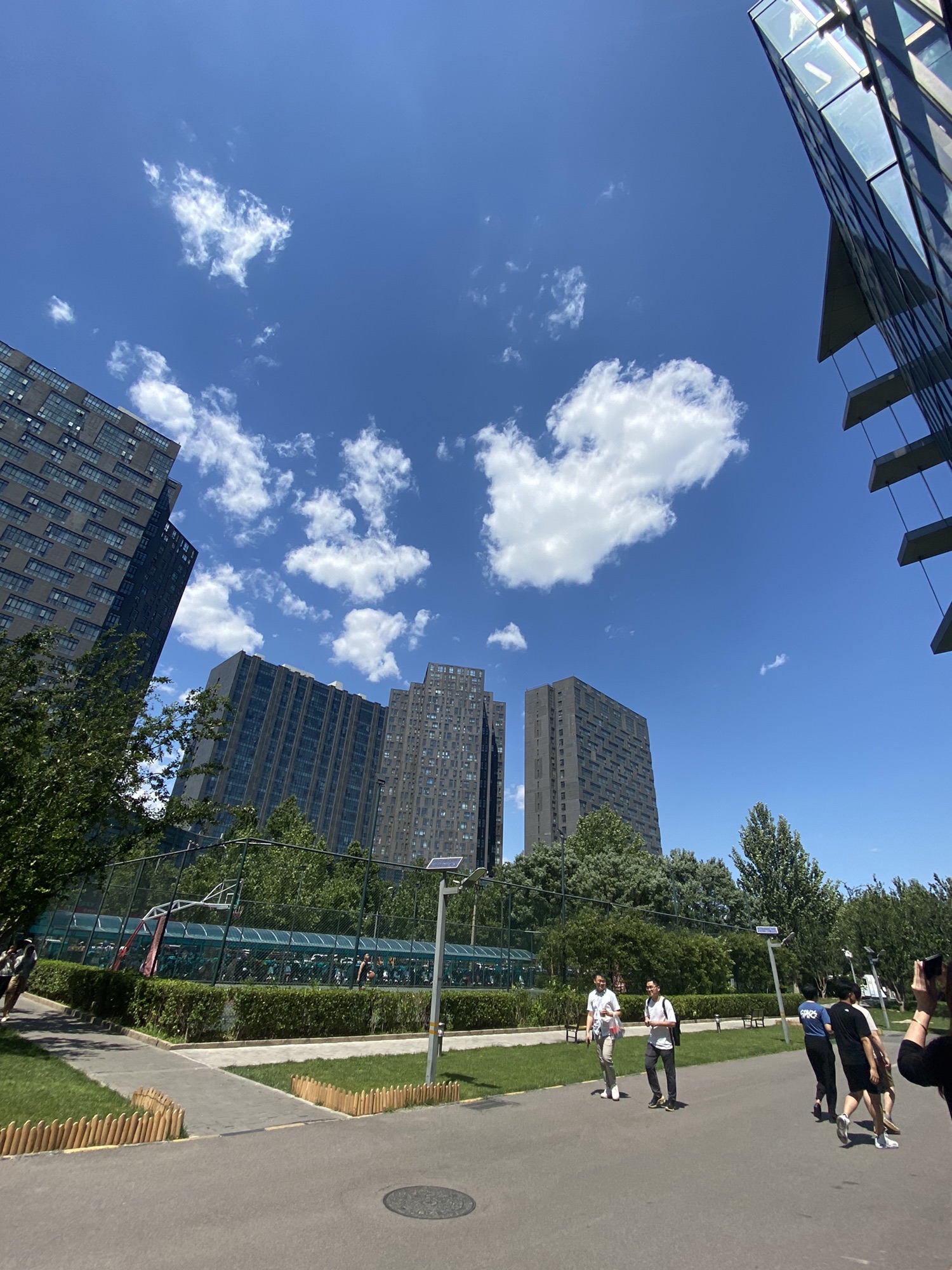 儿童公园旅行图片 1