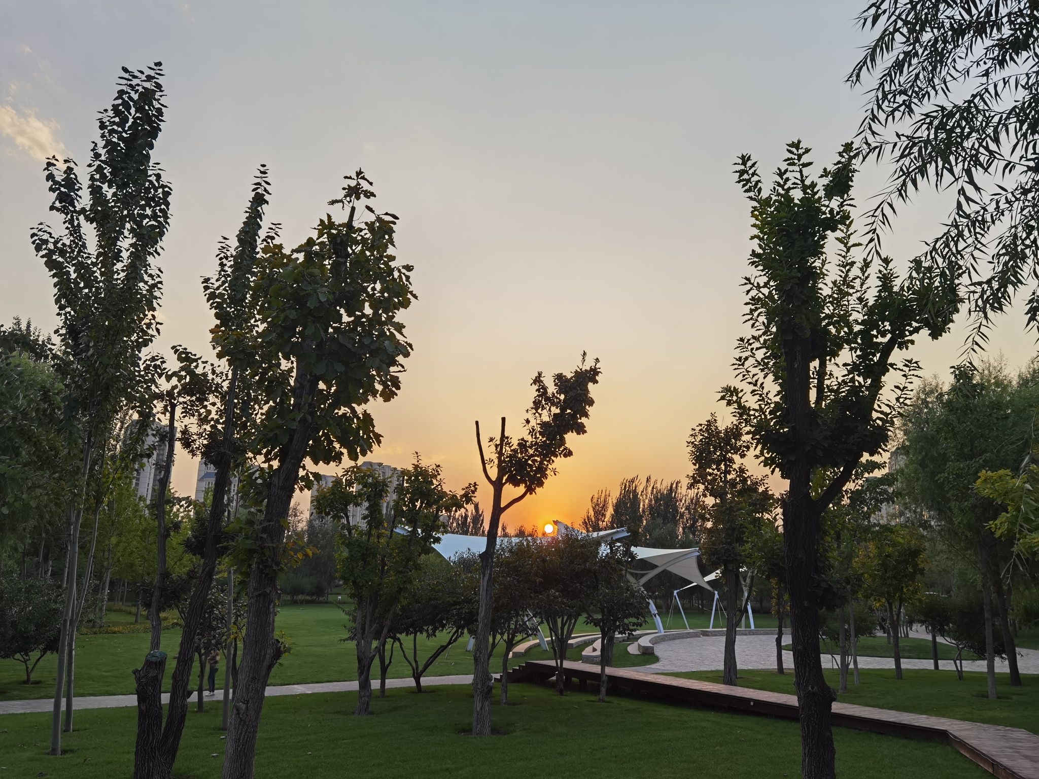 儿童公园旅行图片 2