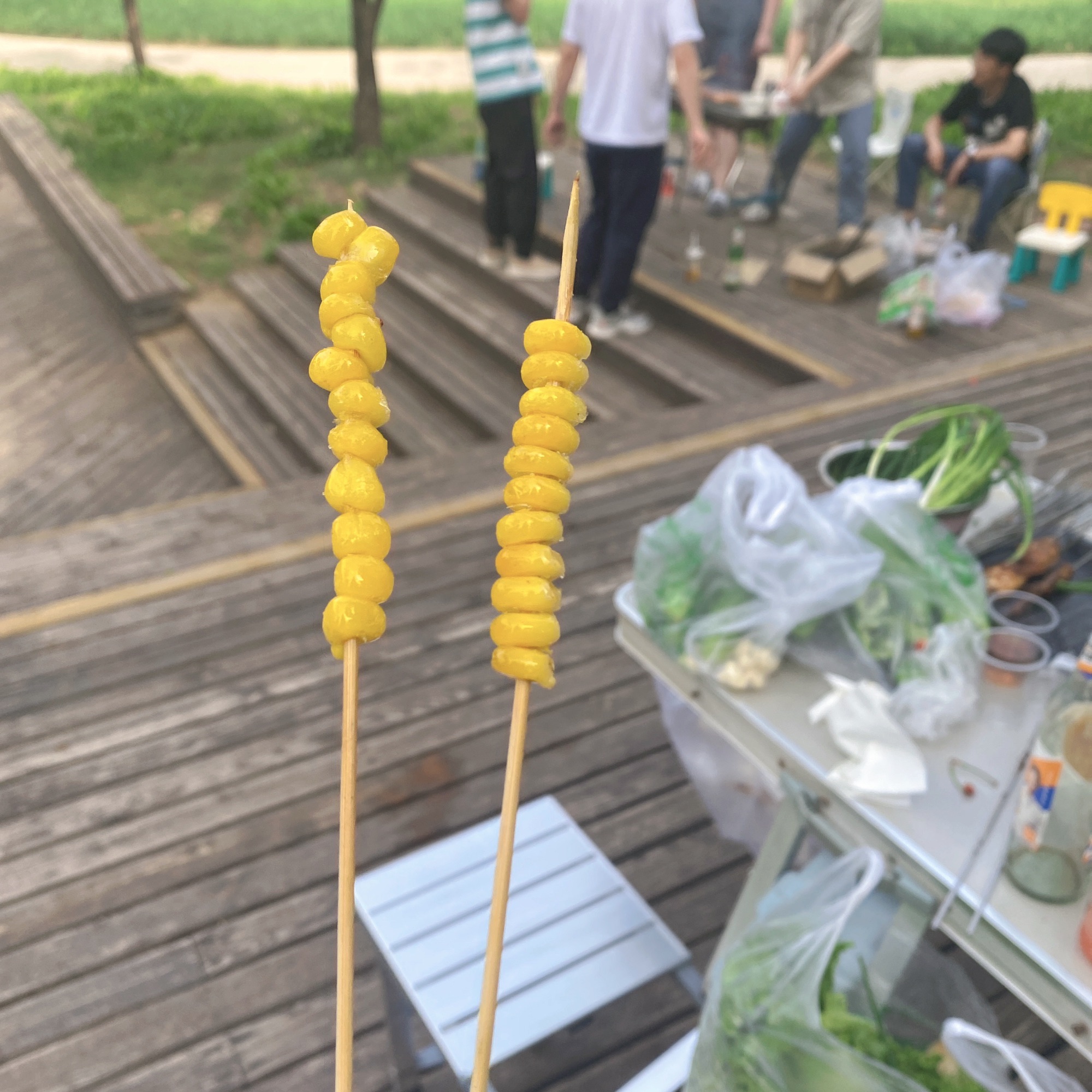 儿童公园旅行图片 2