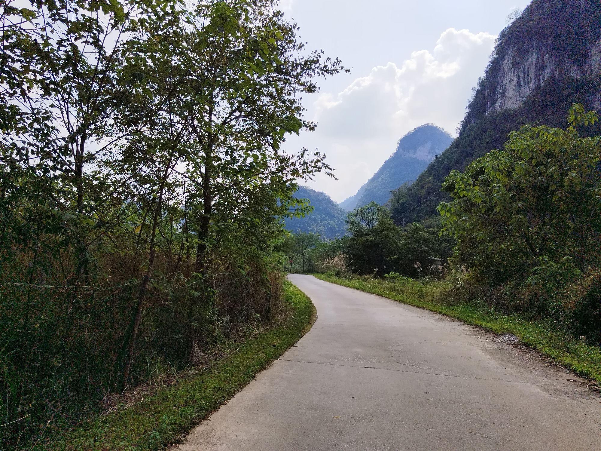 靖西石林旅行图片 3