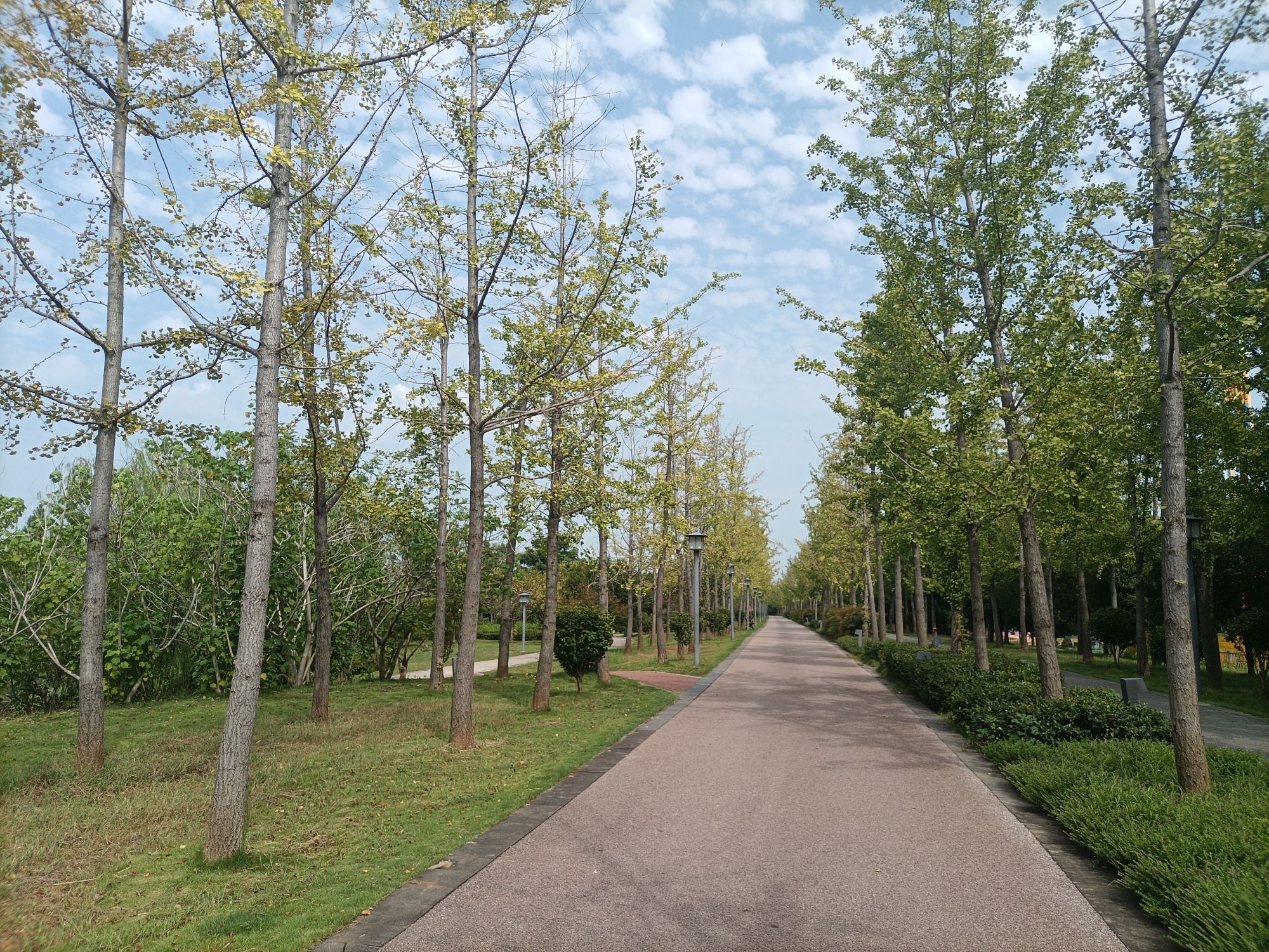 屈子生态湿地公园旅行图片 2