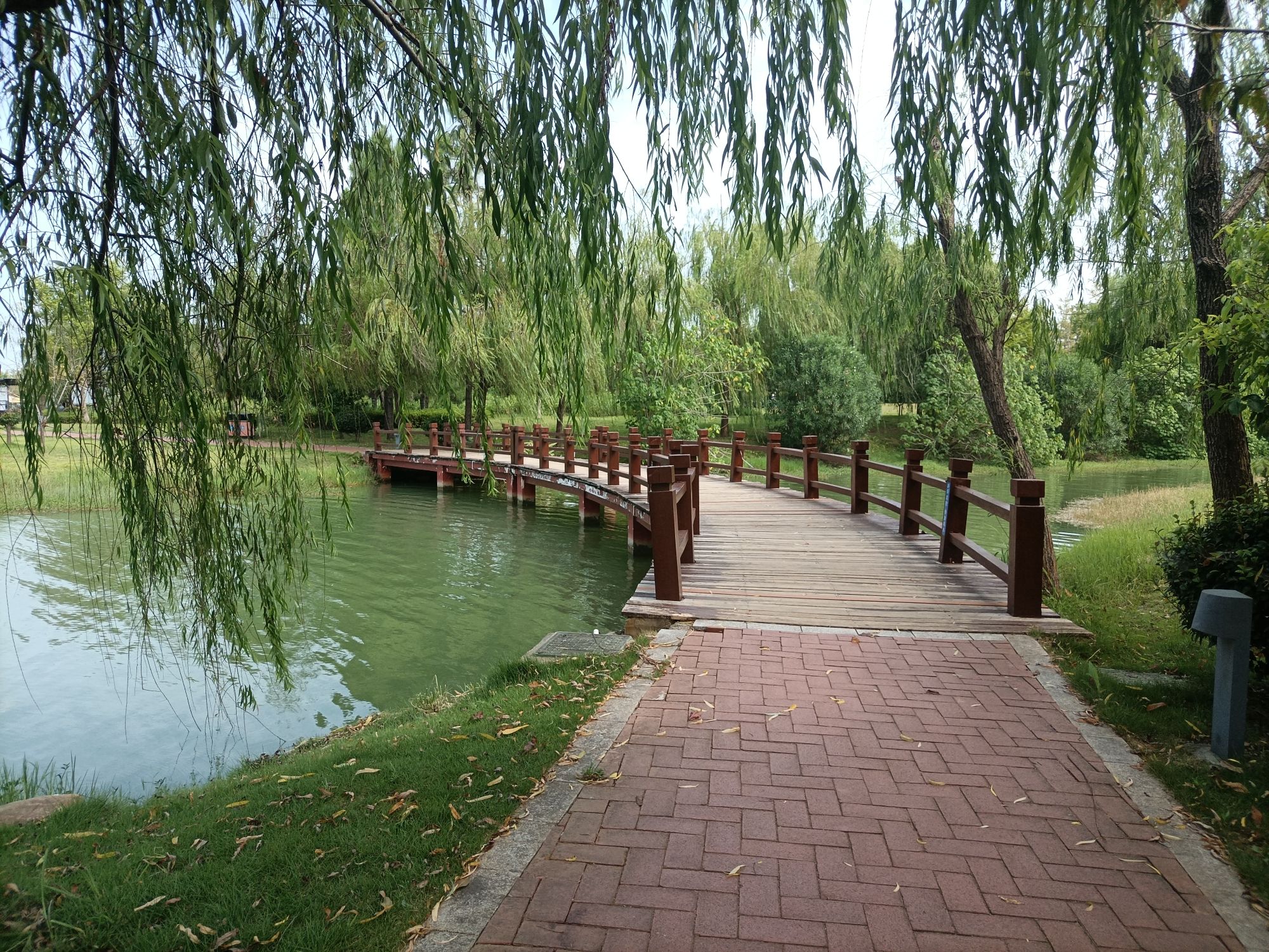 屈子生态湿地公园旅行图片 3