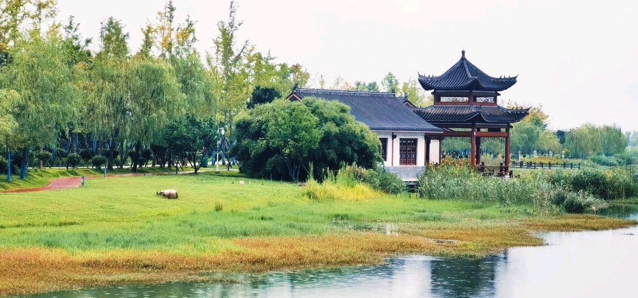 屈子生态湿地公园