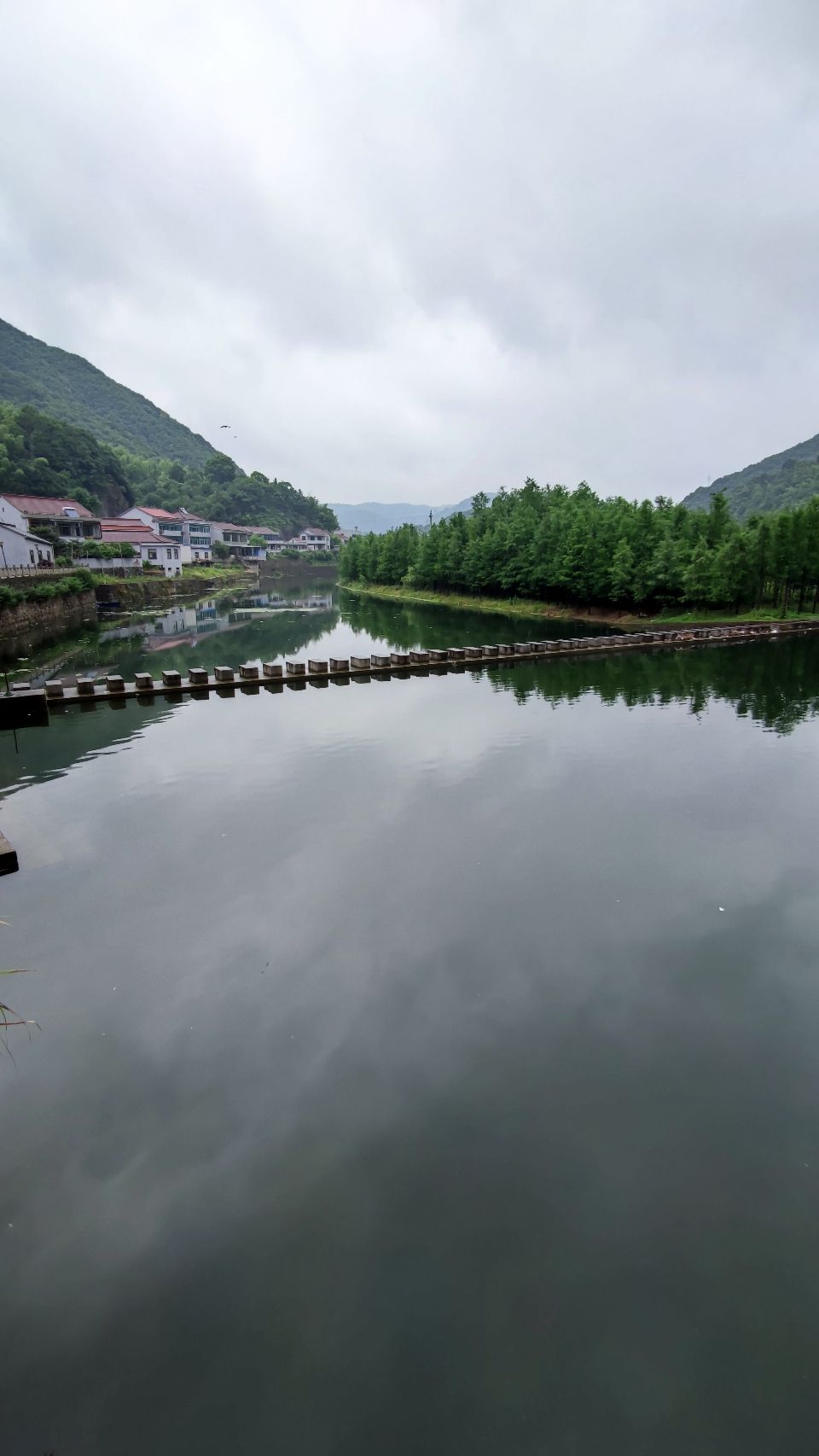 袁马湿地公园旅行图片 1