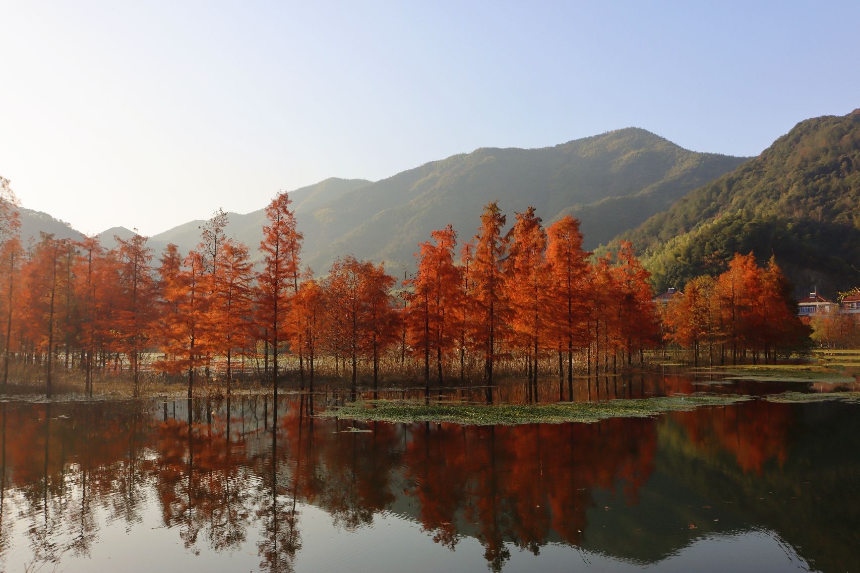 袁马湿地公园旅行图片 2