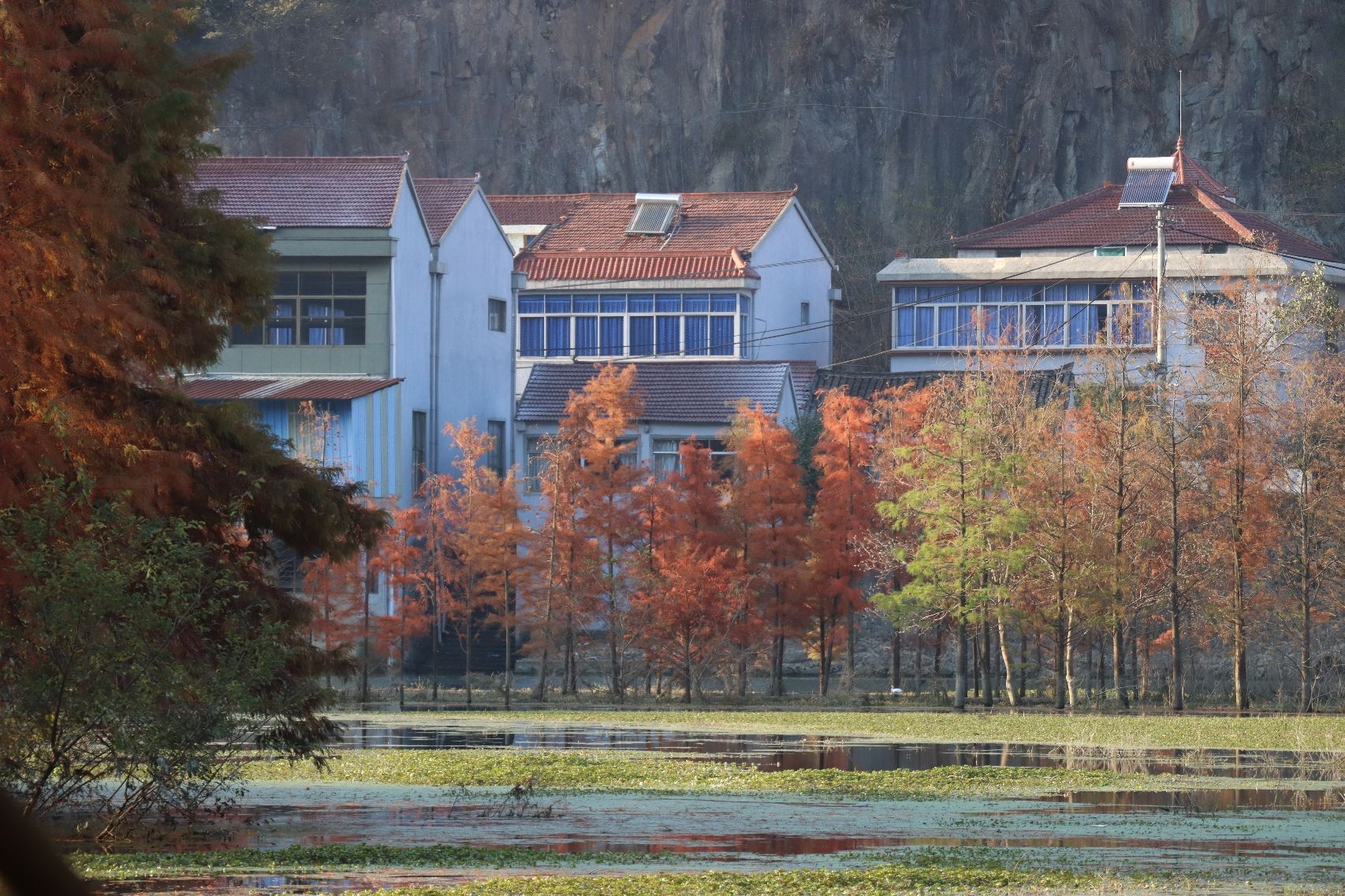 袁马湿地公园旅行图片 1