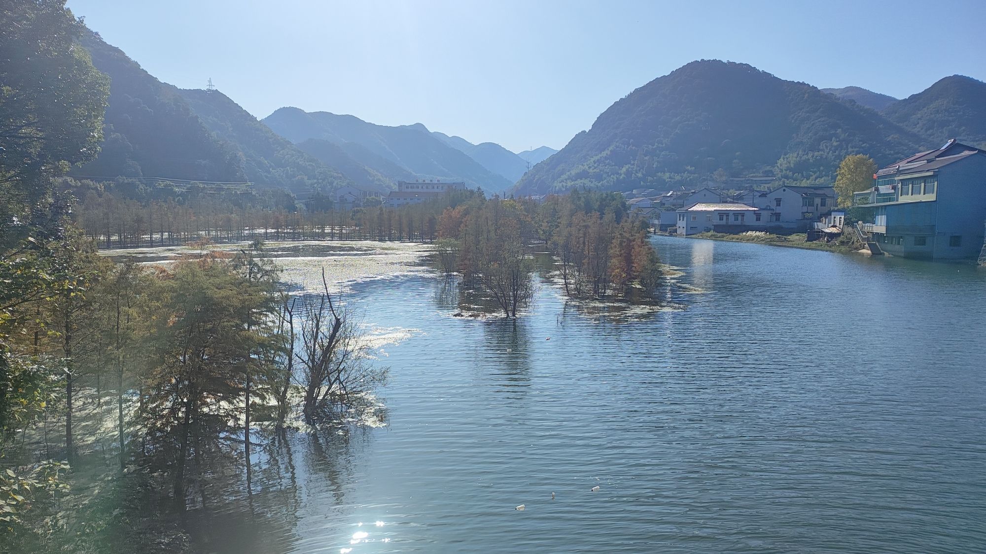 袁马湿地公园旅行图片 1