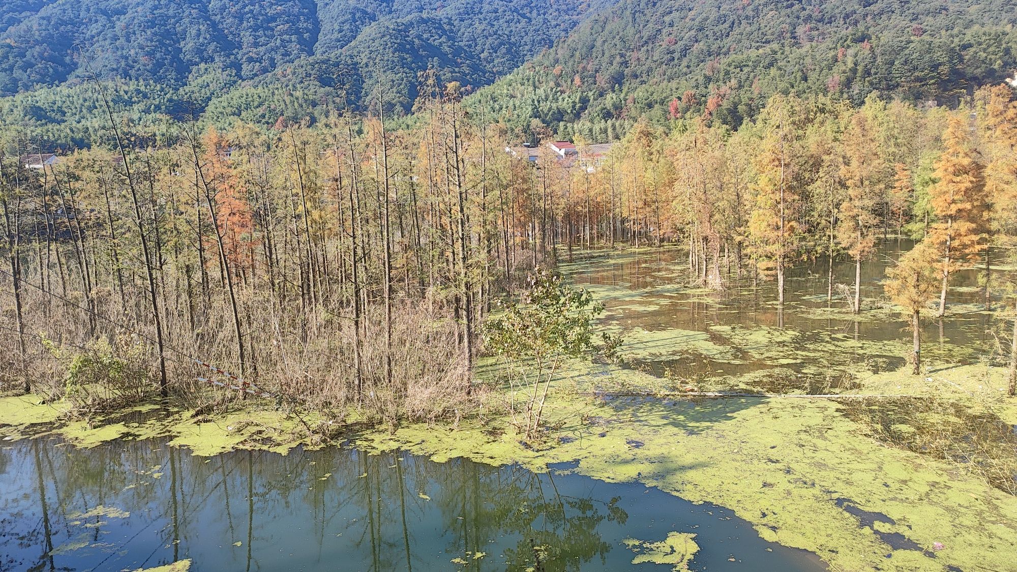 袁马湿地公园旅行图片 2
