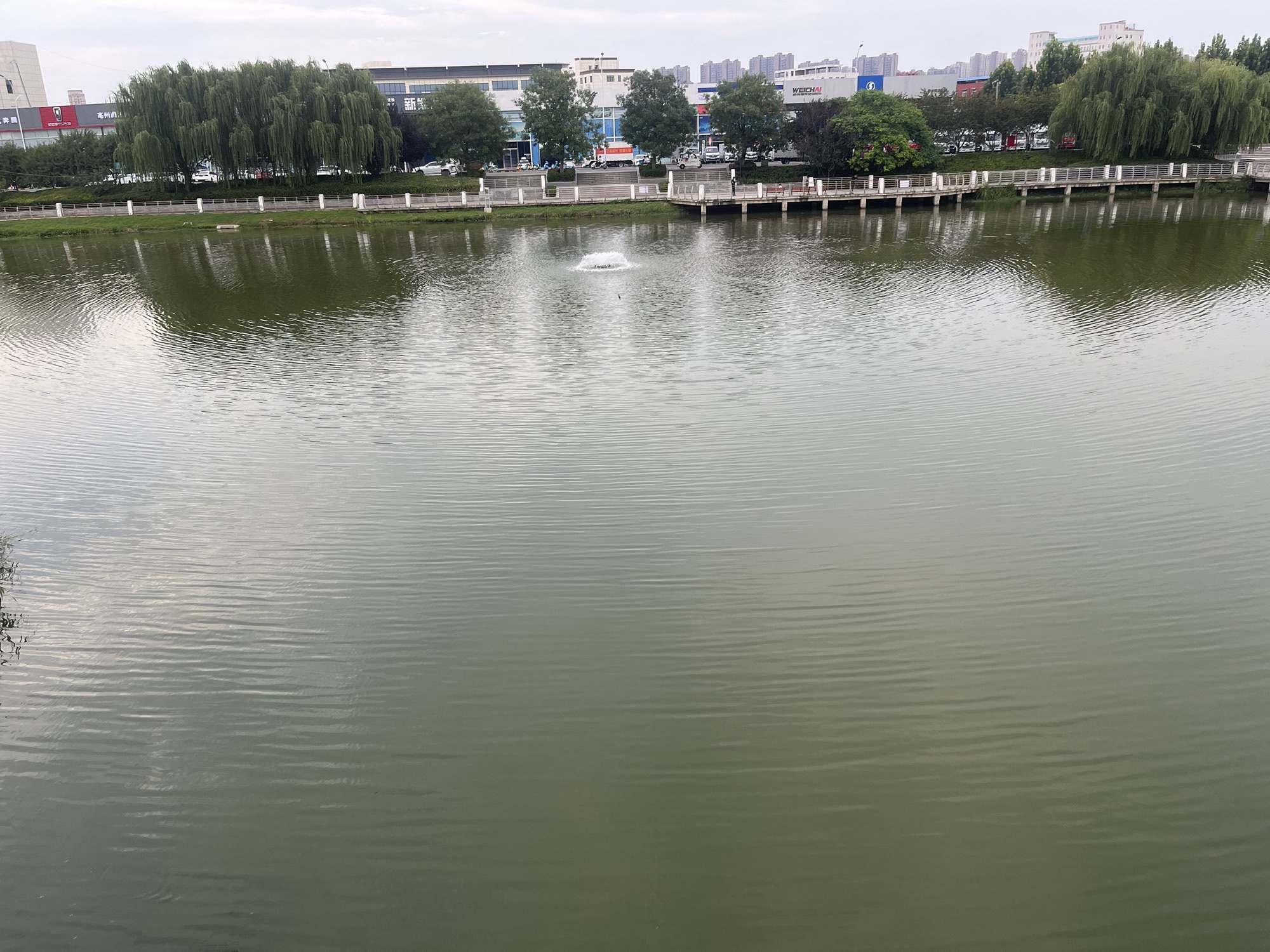 亳州望月潭公园旅行图片 2