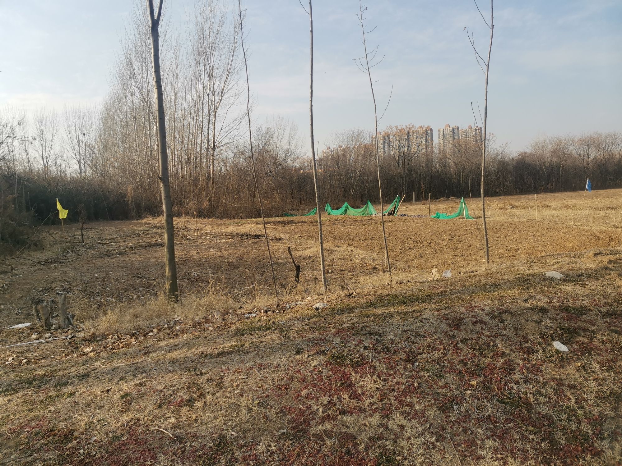亳州望月潭公园旅行图片 2