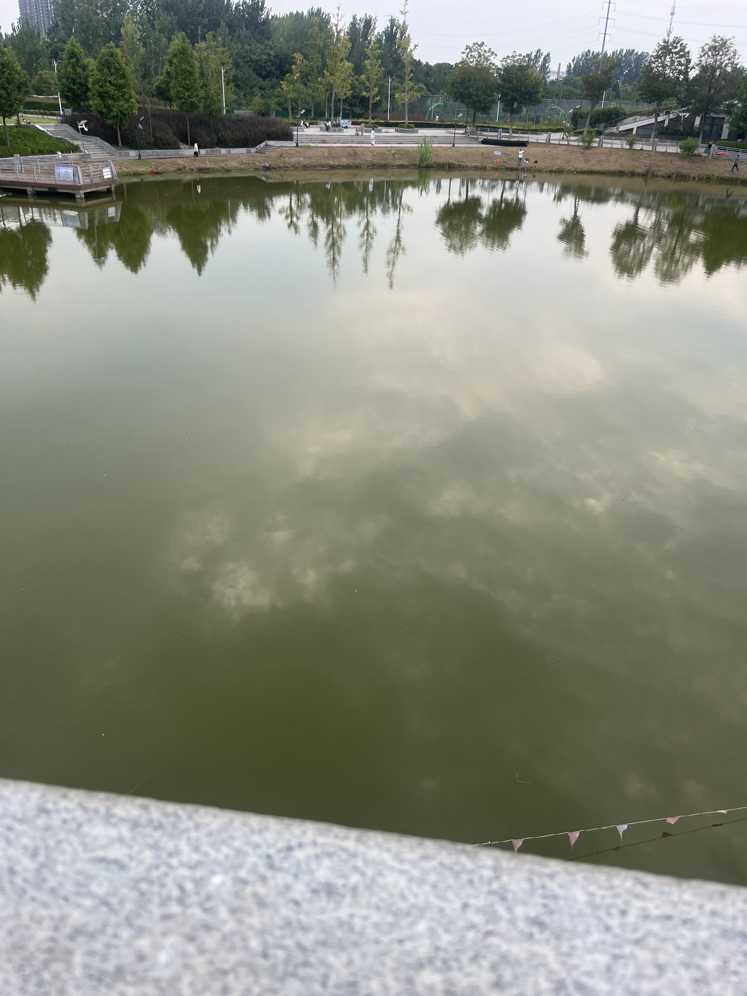 亳州望月潭公园旅行图片 3